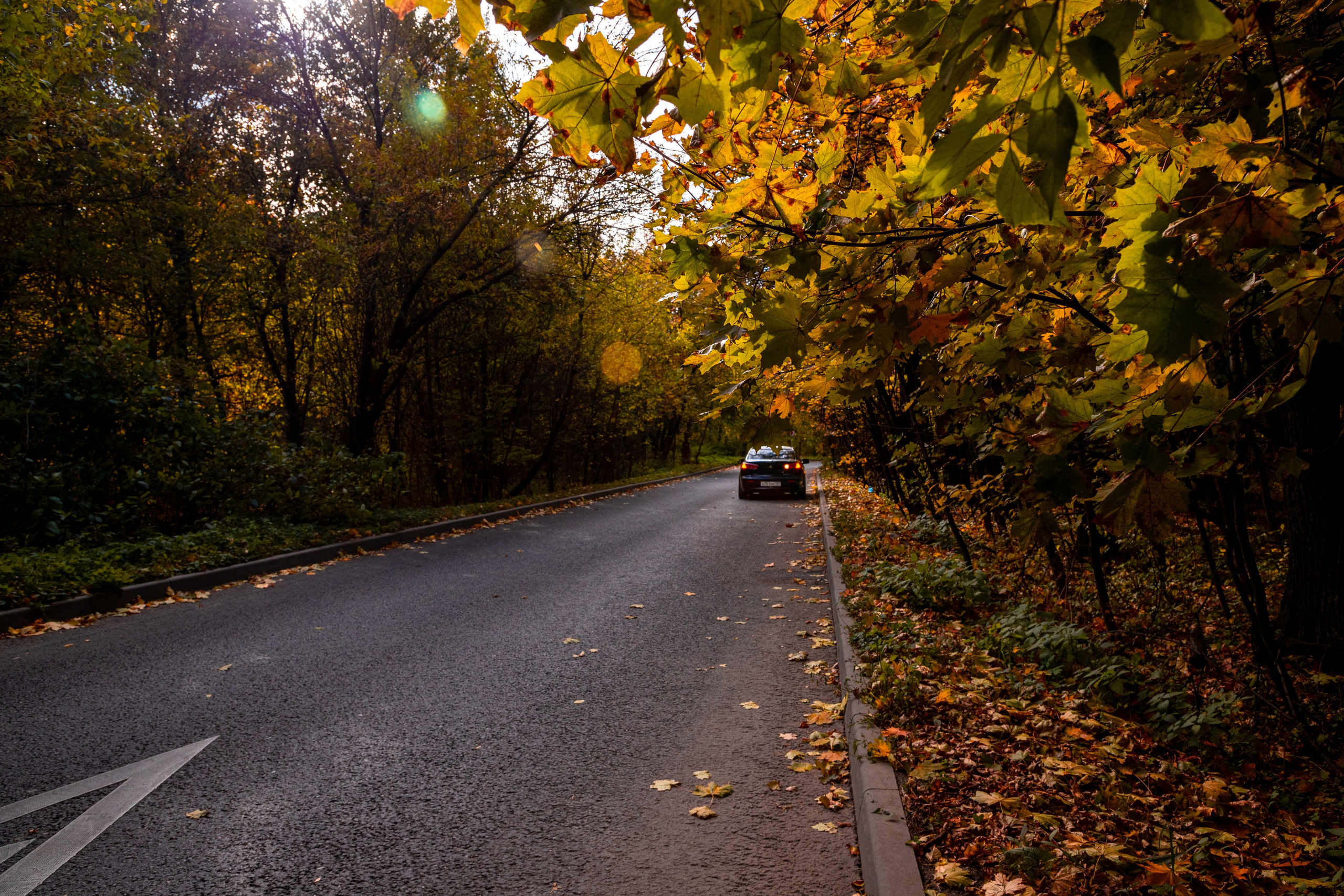 Lancer. Фотограф Анастасия Сонина