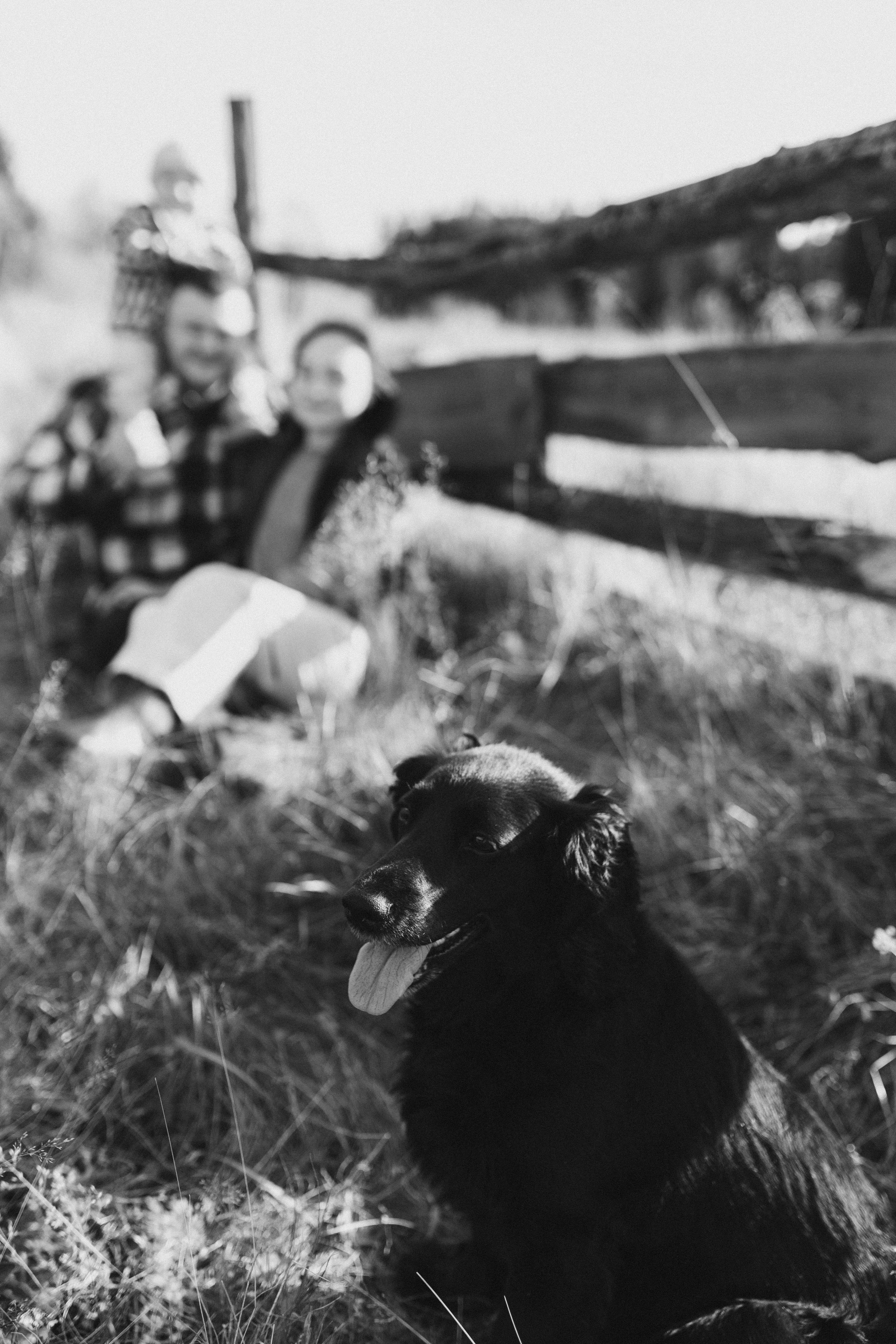 ПАША ЛИЗА ТАРАСИК ПУЛЯ. Главная