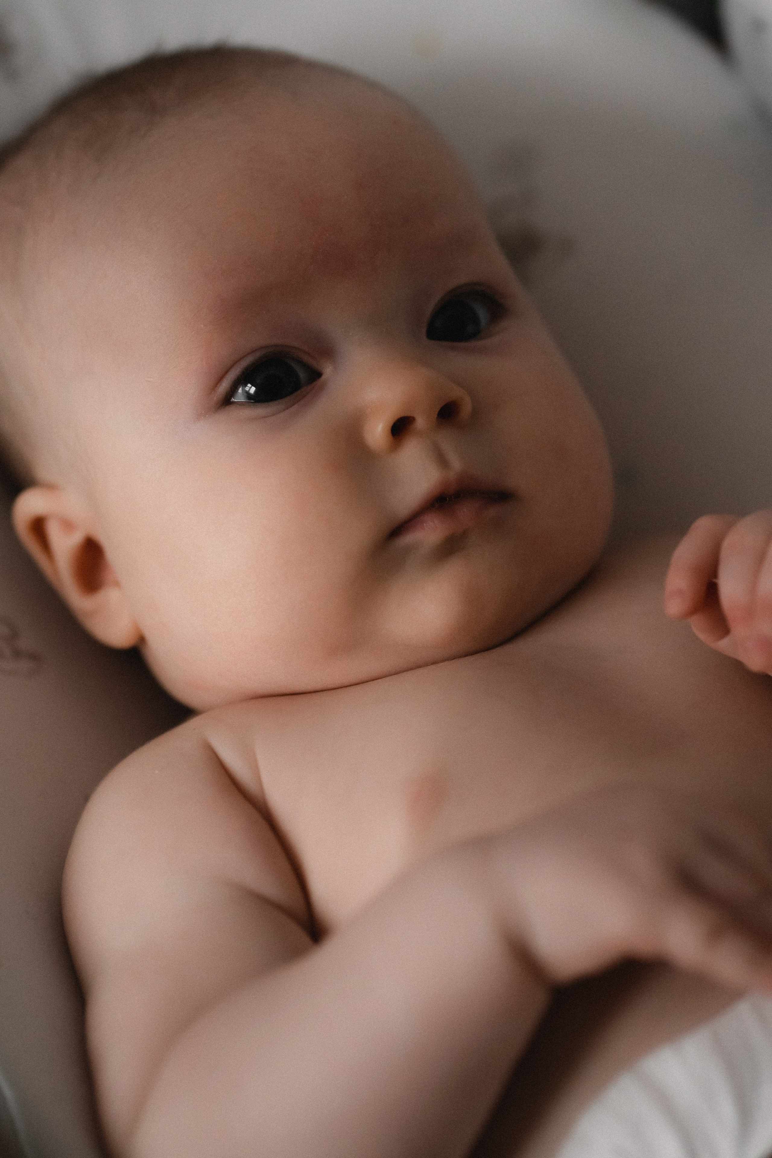 Домашняя фотосессия в Раменском 