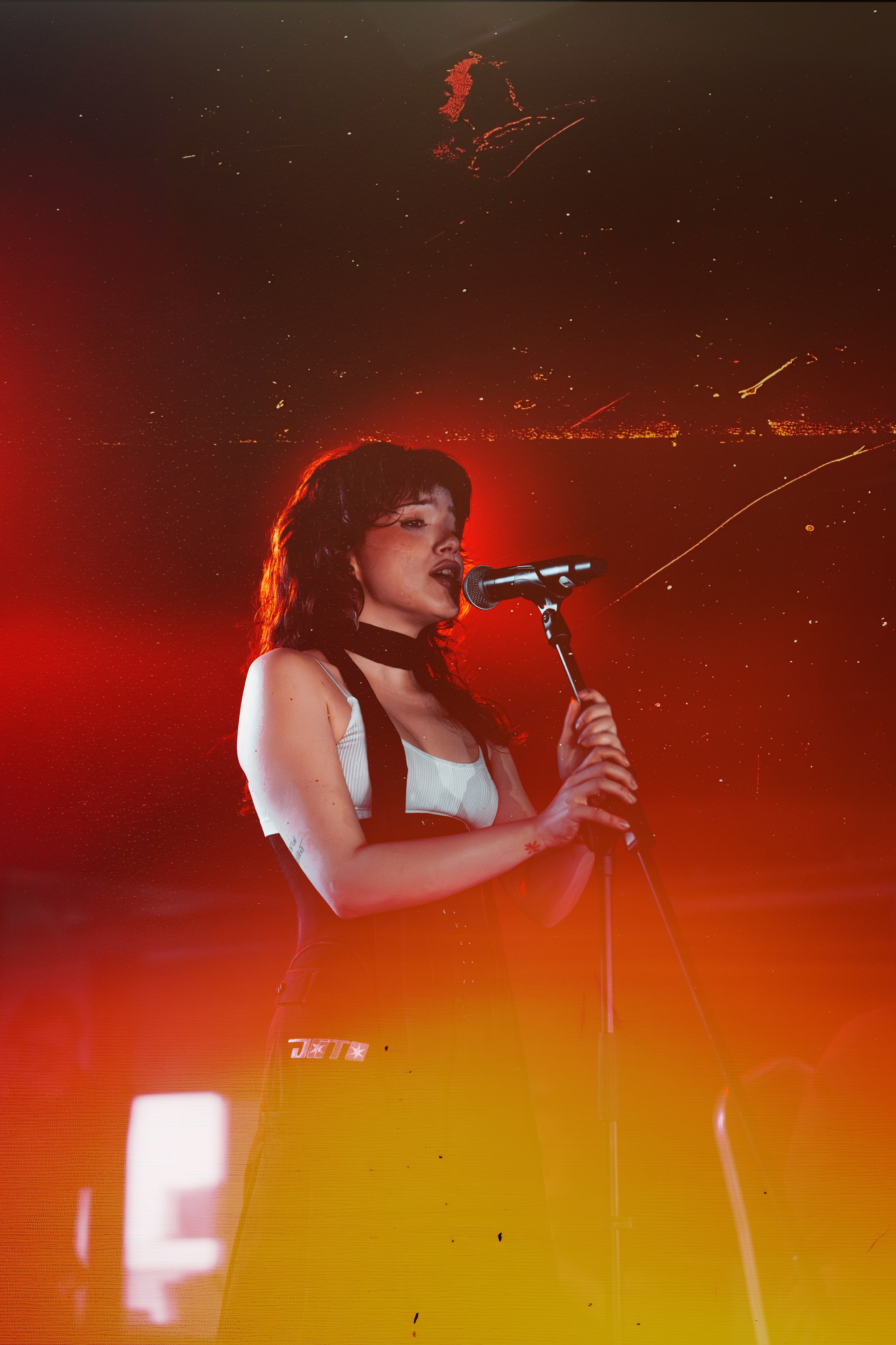 SALUKI. Фотограф Герман Лебедев — Тольятти