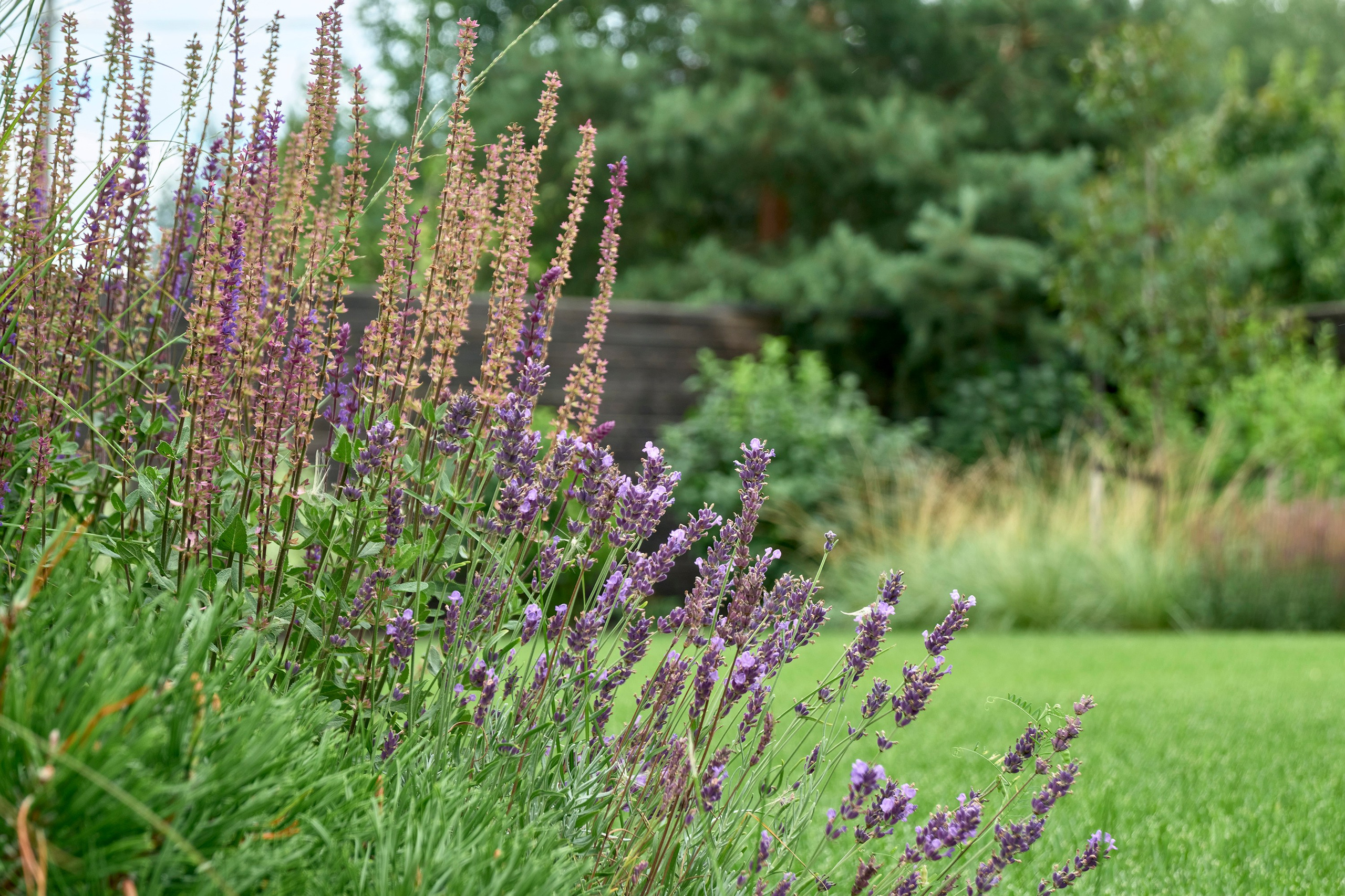 Ландшафтный и интерьерный фотограф Наталья Соловьева. Фотосъемка частного сада под Гатчиной для Таисьи Игошиной | interioto