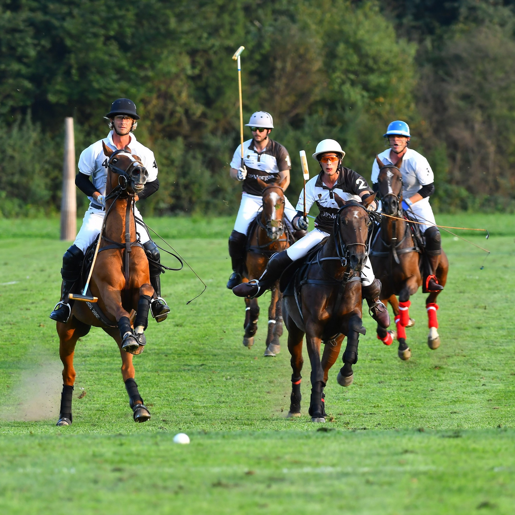 Polo art photos. Art photos of horses — ARTUR BABOEV | Photographer