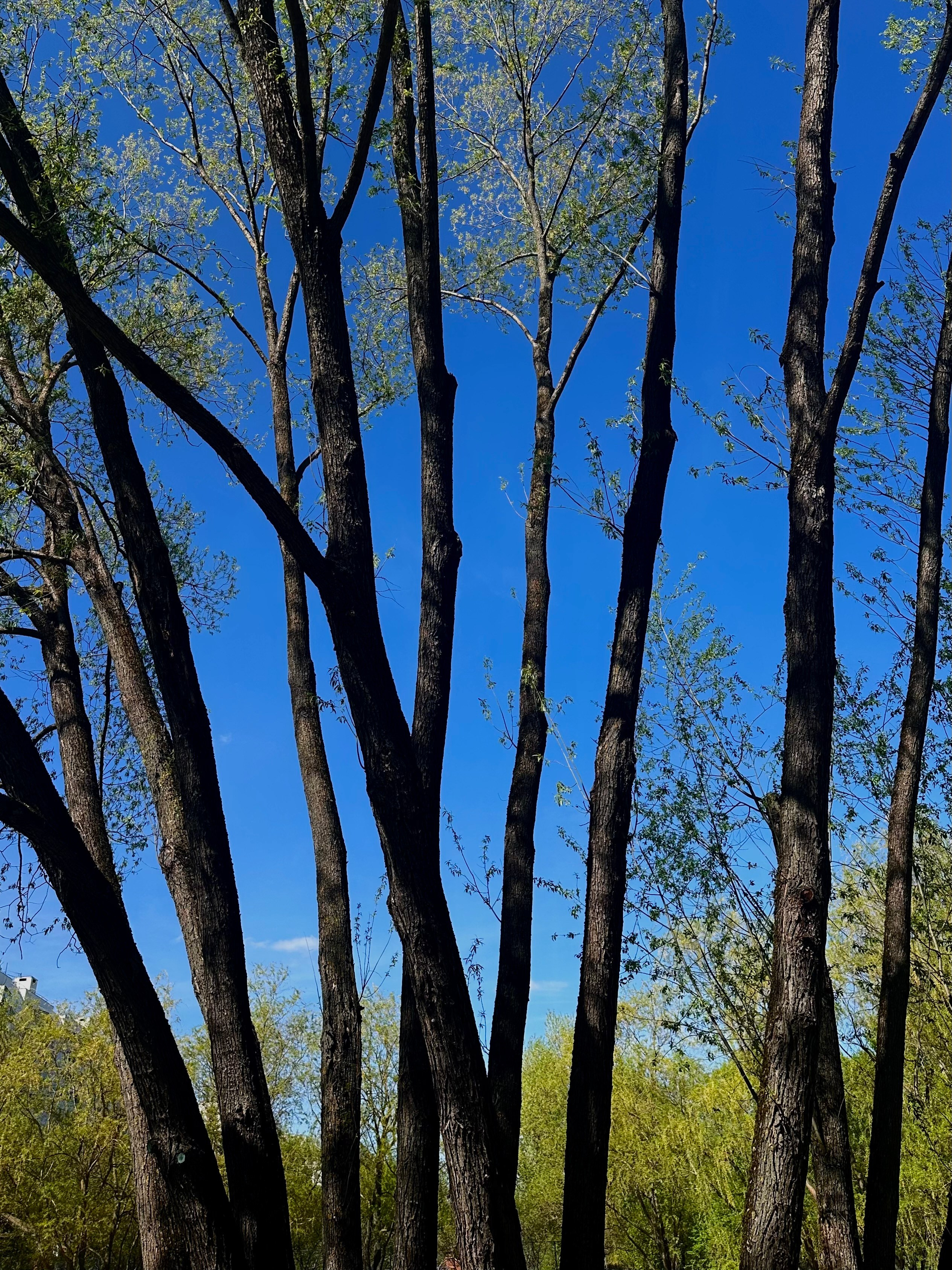 EXHIBITION. Репортажный и интерьерный фотограф, фотохудожник