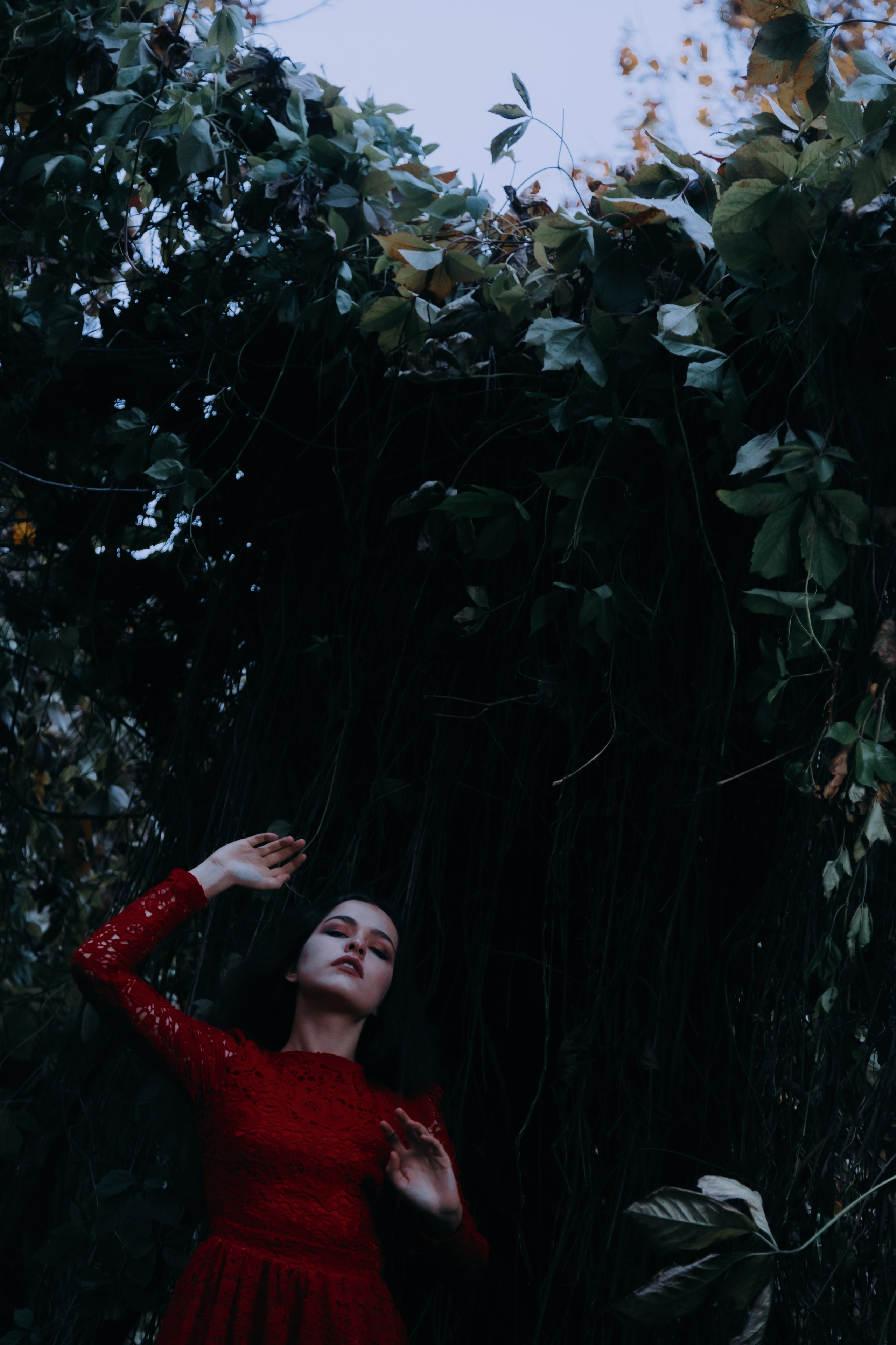 В заброшенной усадьбе. Креатор Ольга Яш