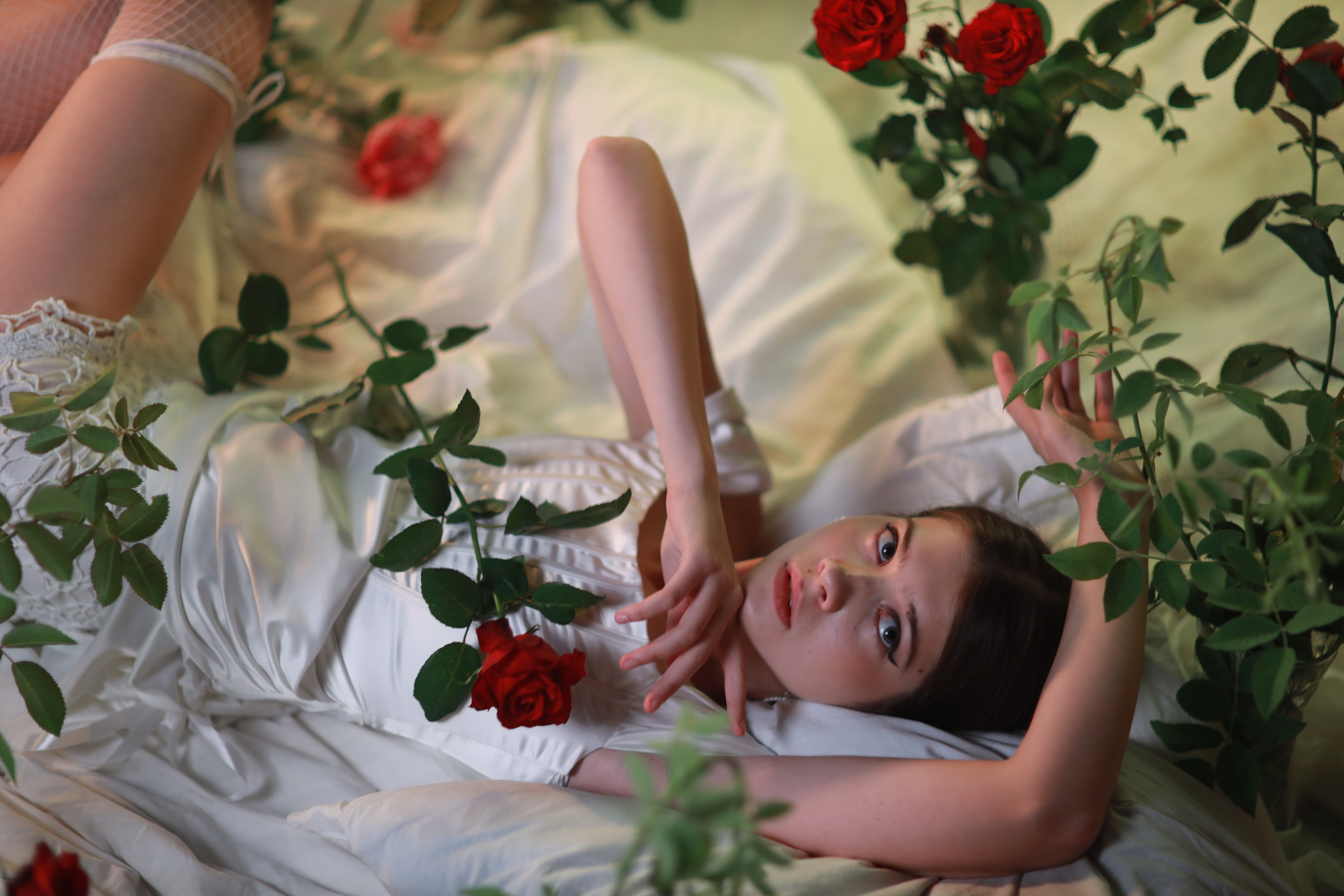 Розы и белое платье. Съемка в студии под ваш запрос, студийные съемки, фотографии архитектурных объектов — Александр Евстигнеев — фотограф Москва