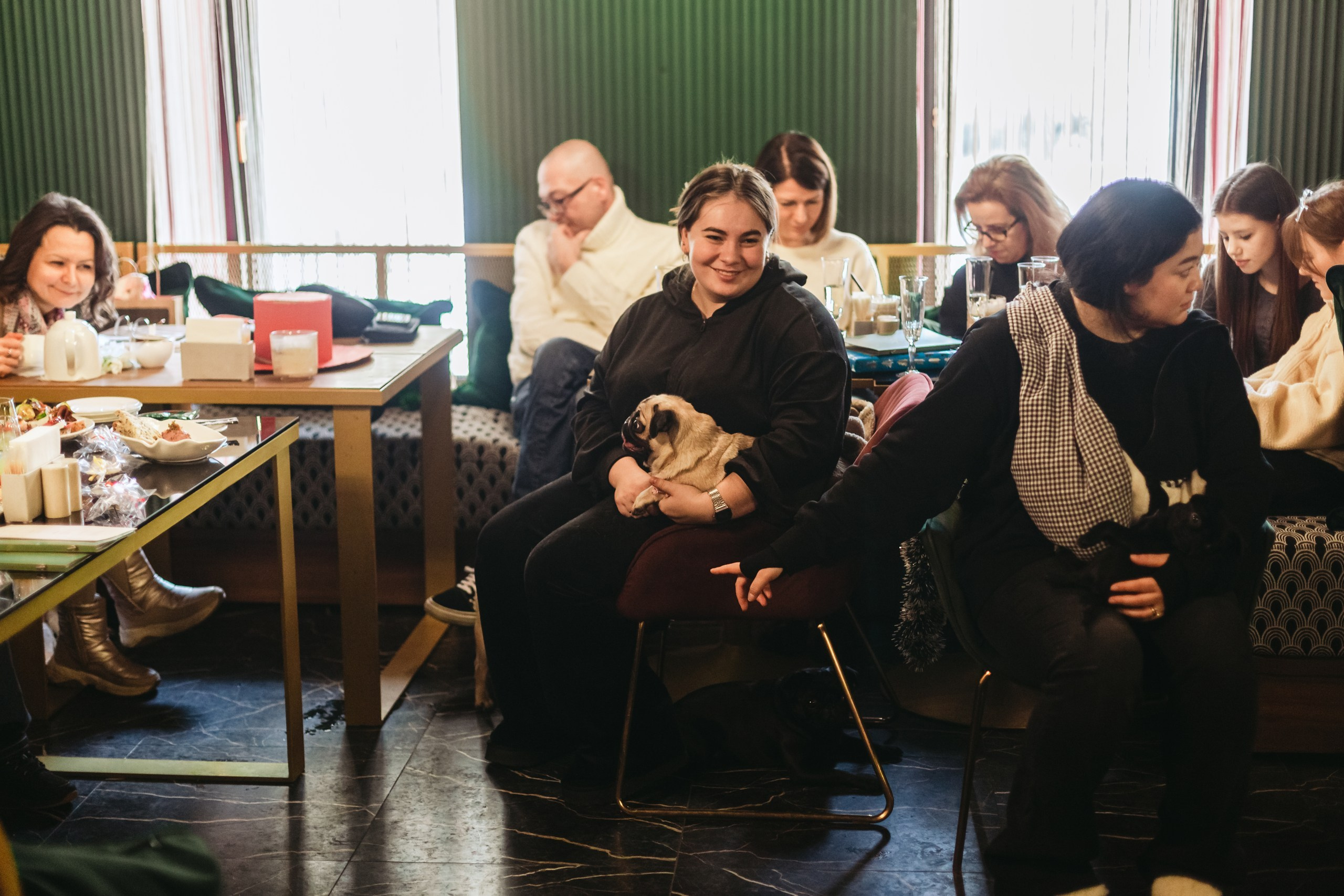 Мопсовстреча 02.12.2023. Фотограф-анималист Татьяна Степанова