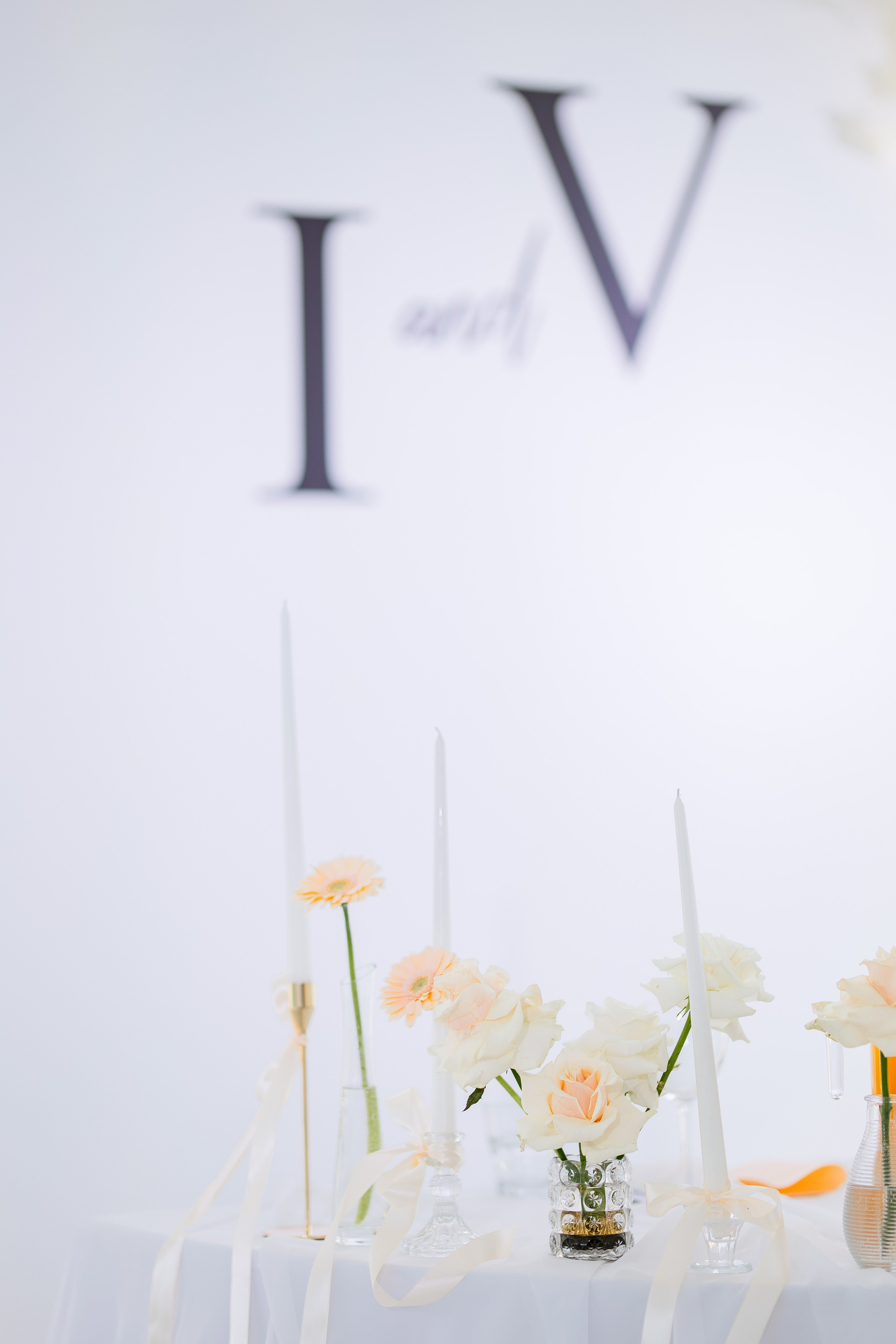 Виктория и Илья. Свадебный фотограф Витебск Минск