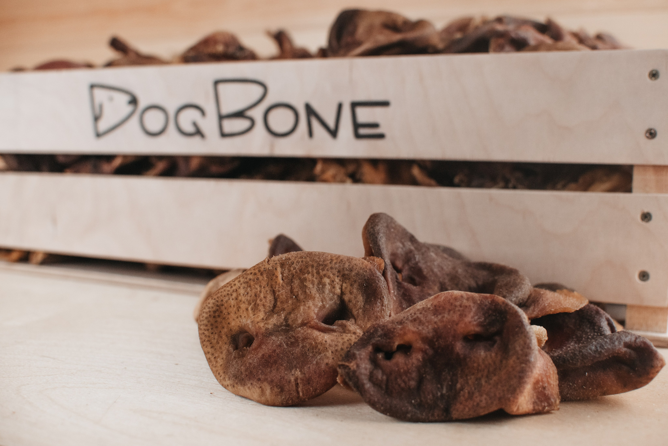 Dog Bone лакомства. Фотограф-анималист Валерия, Москва, Мытищи