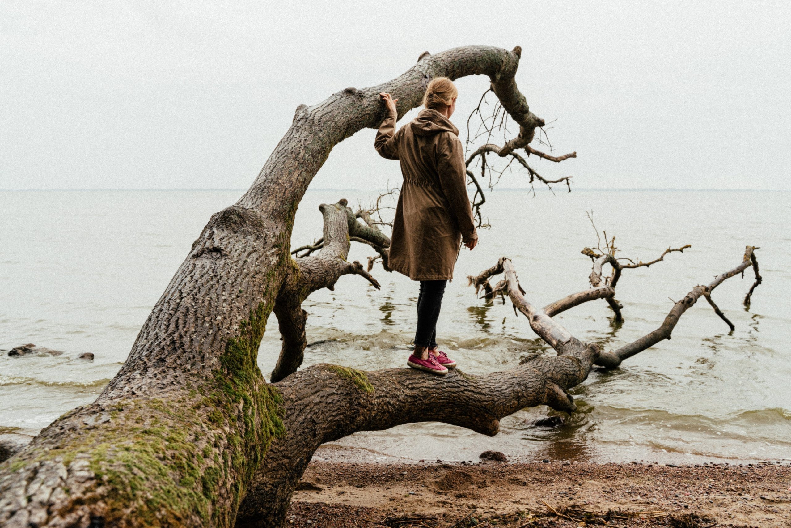 Калининградская область