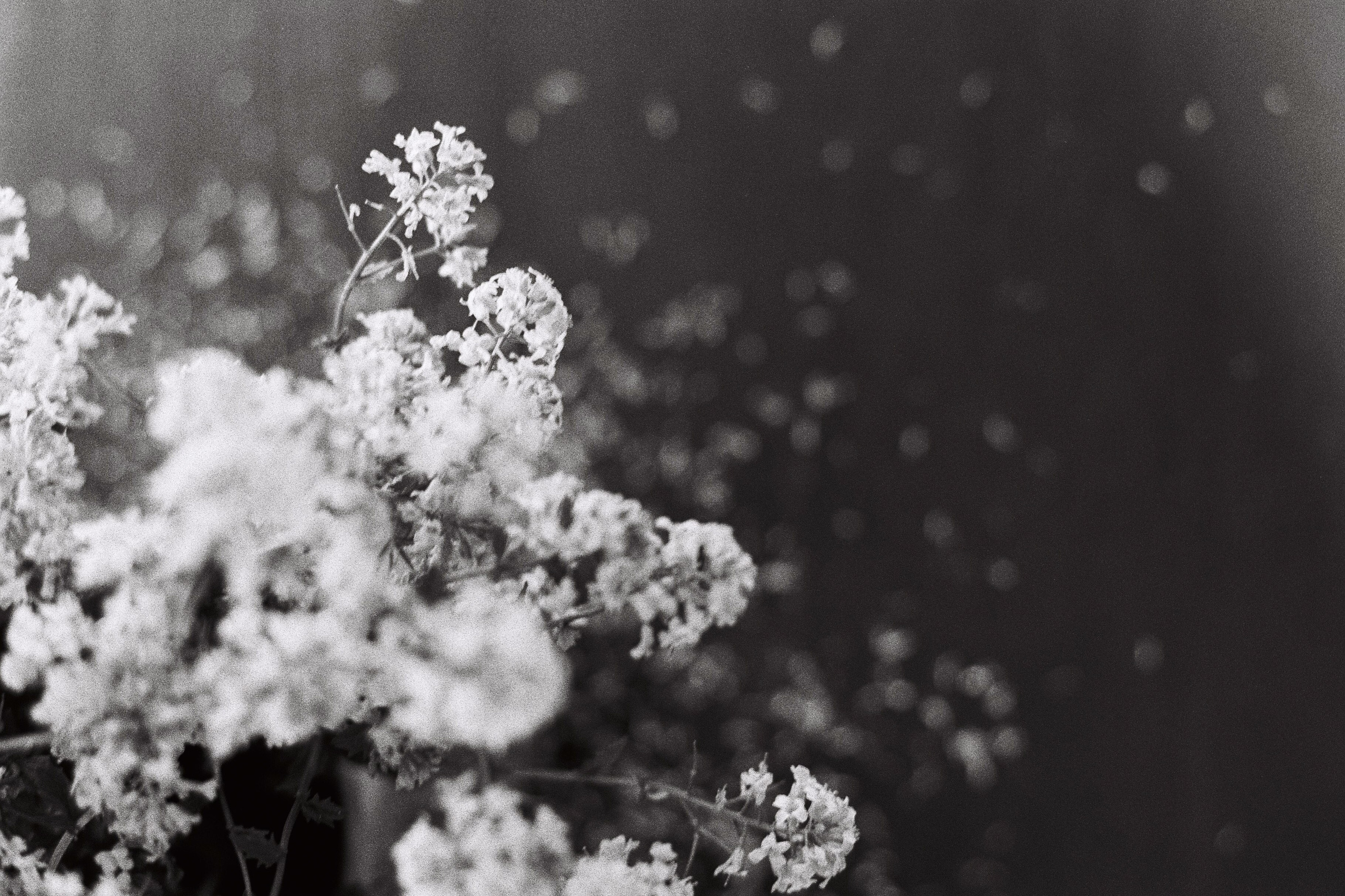 Photo by anya stepanenko