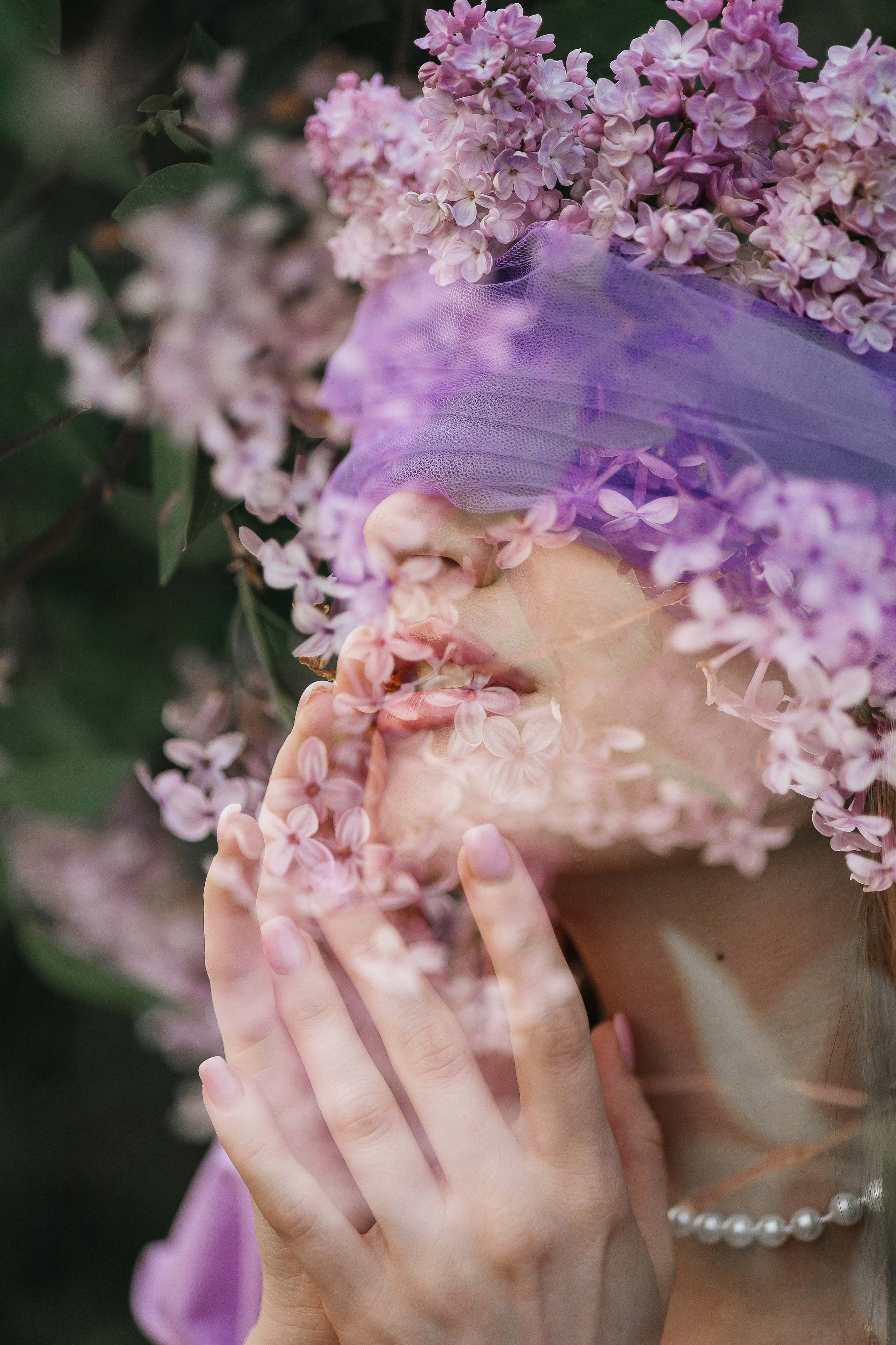 Сирень. Фотограф в Севастополе — Евгения Бойко