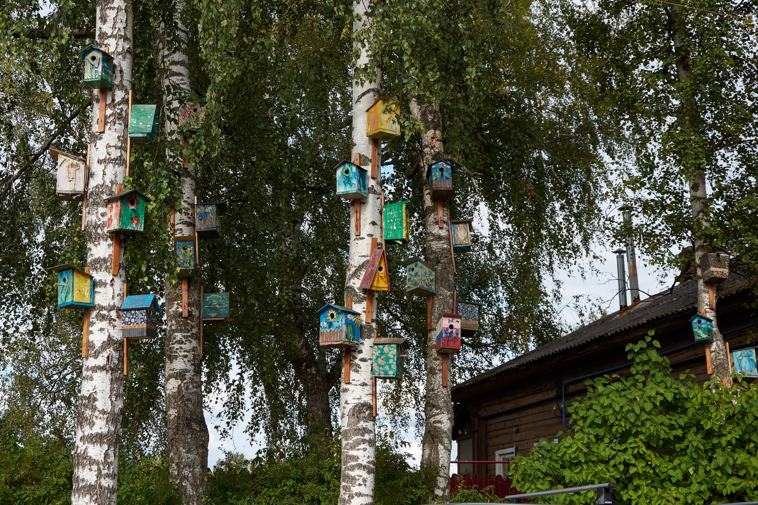 Нерехта — музей под открытым небом. Ольга Чёкотова (Фотограф Кострома)