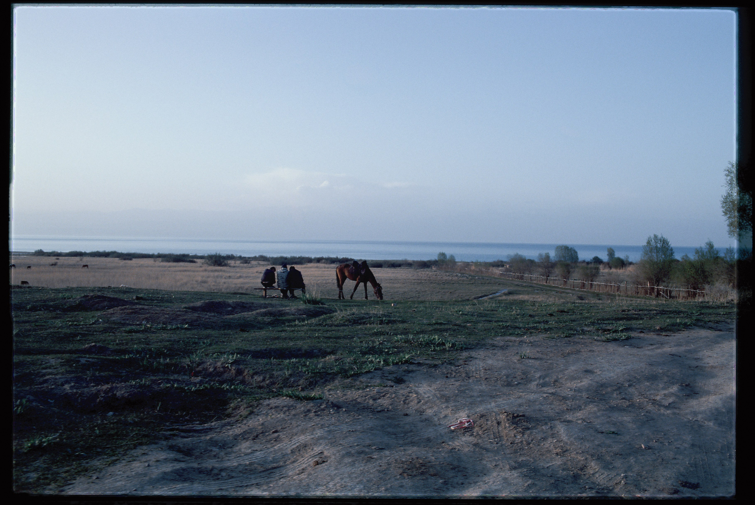 SILK ROAD. Dima Ptitsyn