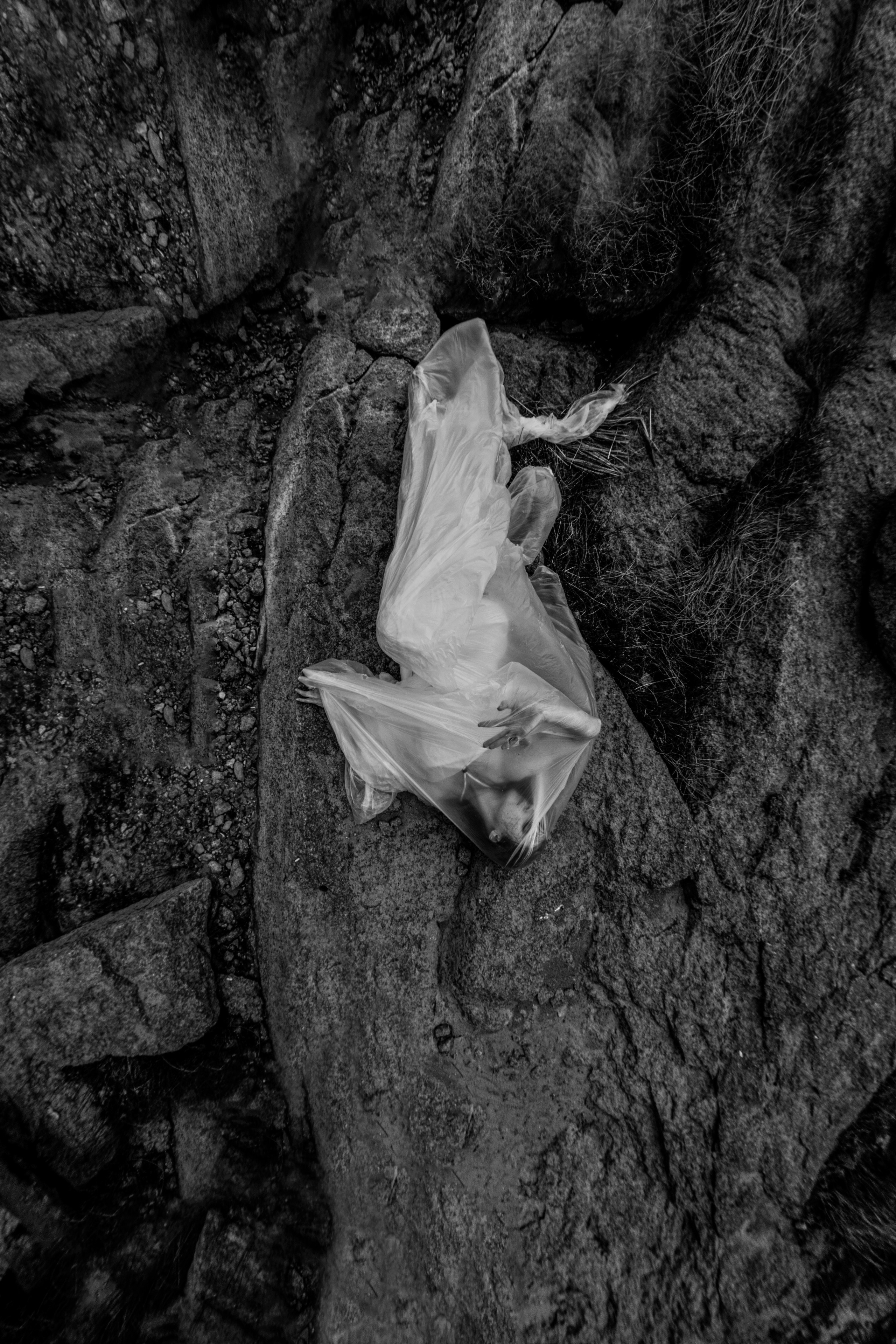 Black and white photo. Фотограф в Новосибирске Александр Иванов