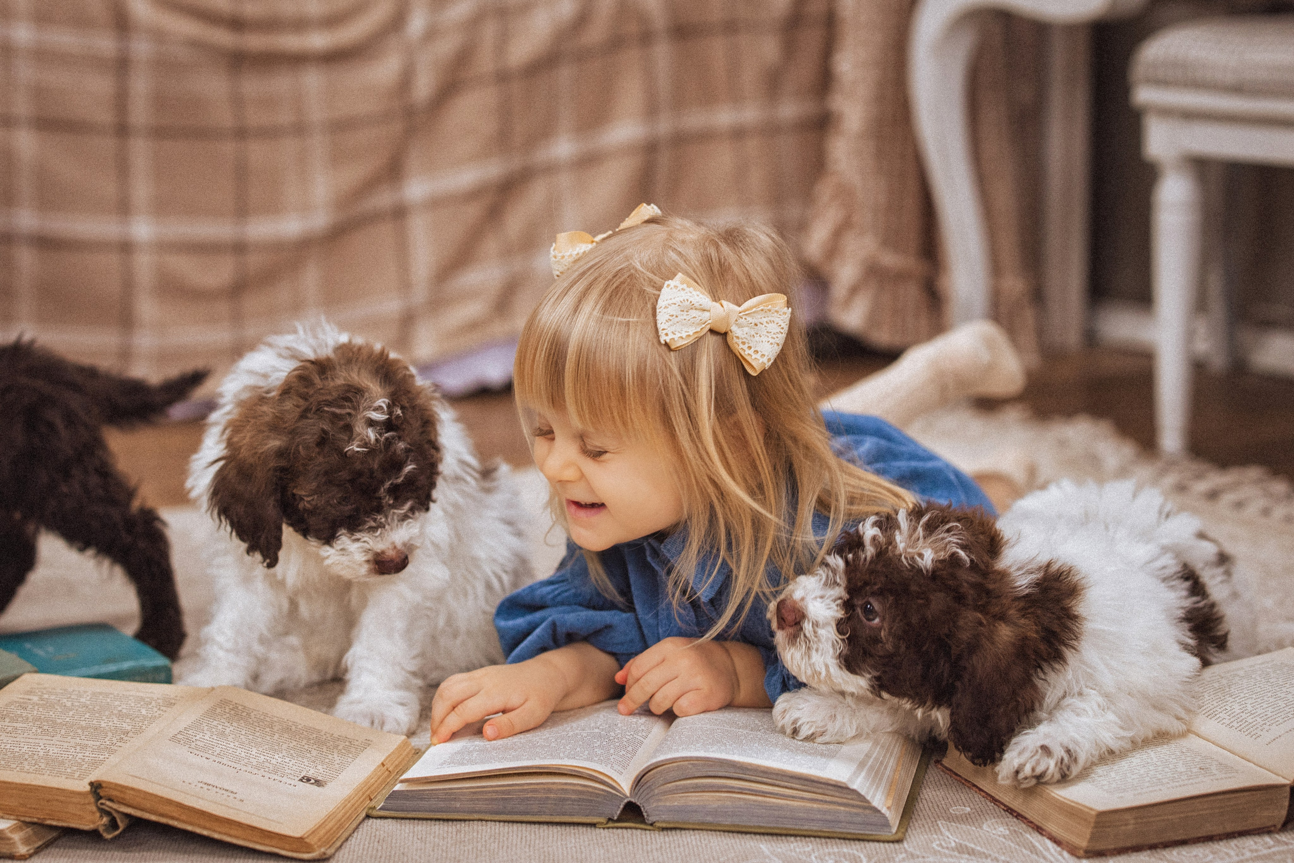 Фотосессия с щенками Лаго́тто-романьо́ло, в Винтажной фотостудии город Краснодар. Семейный и детский фотограф в Краснодаре Анна Трашкова