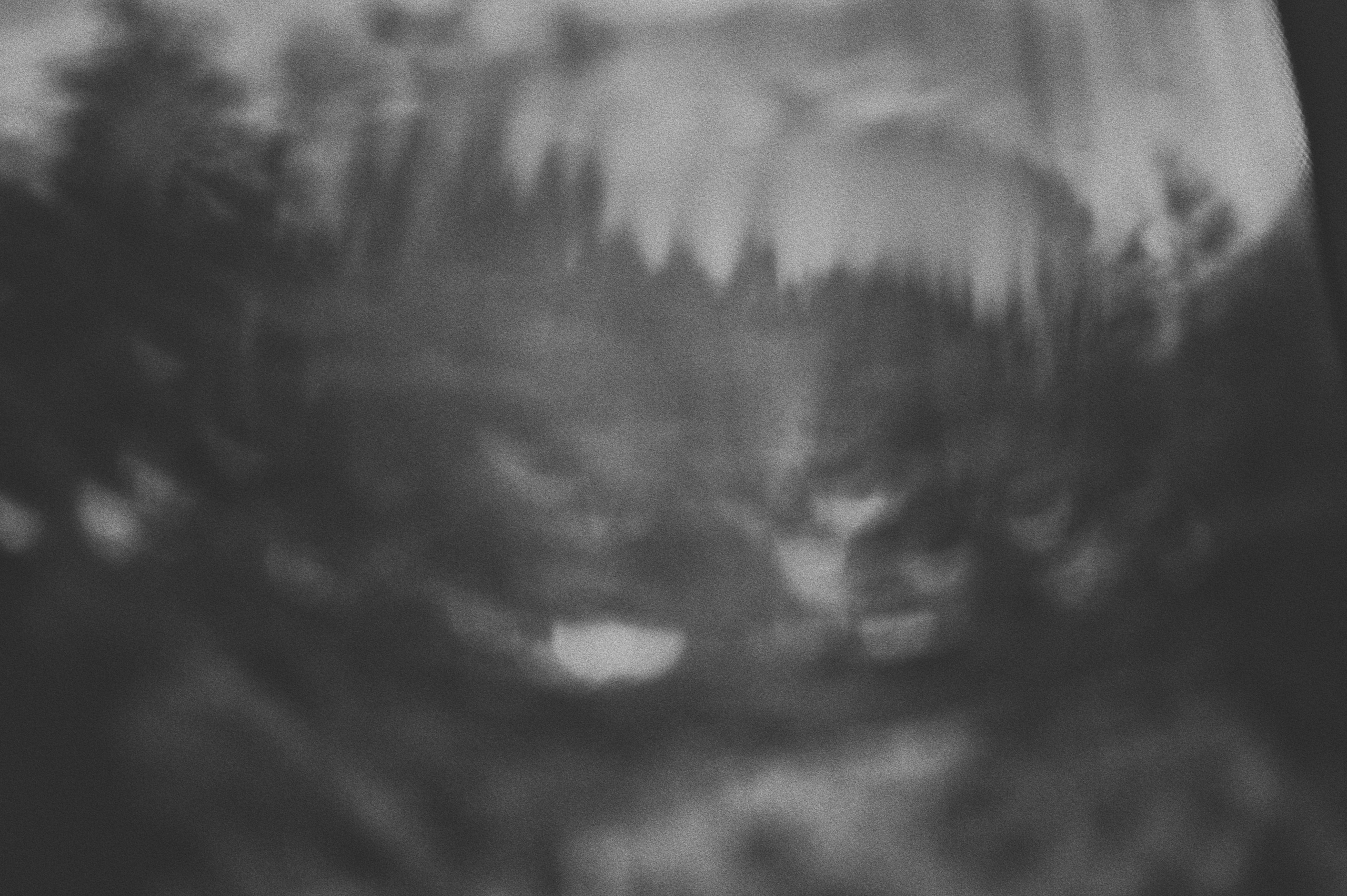 Negative Colors. Художественный фотограф в Москве Алексей Сутягин