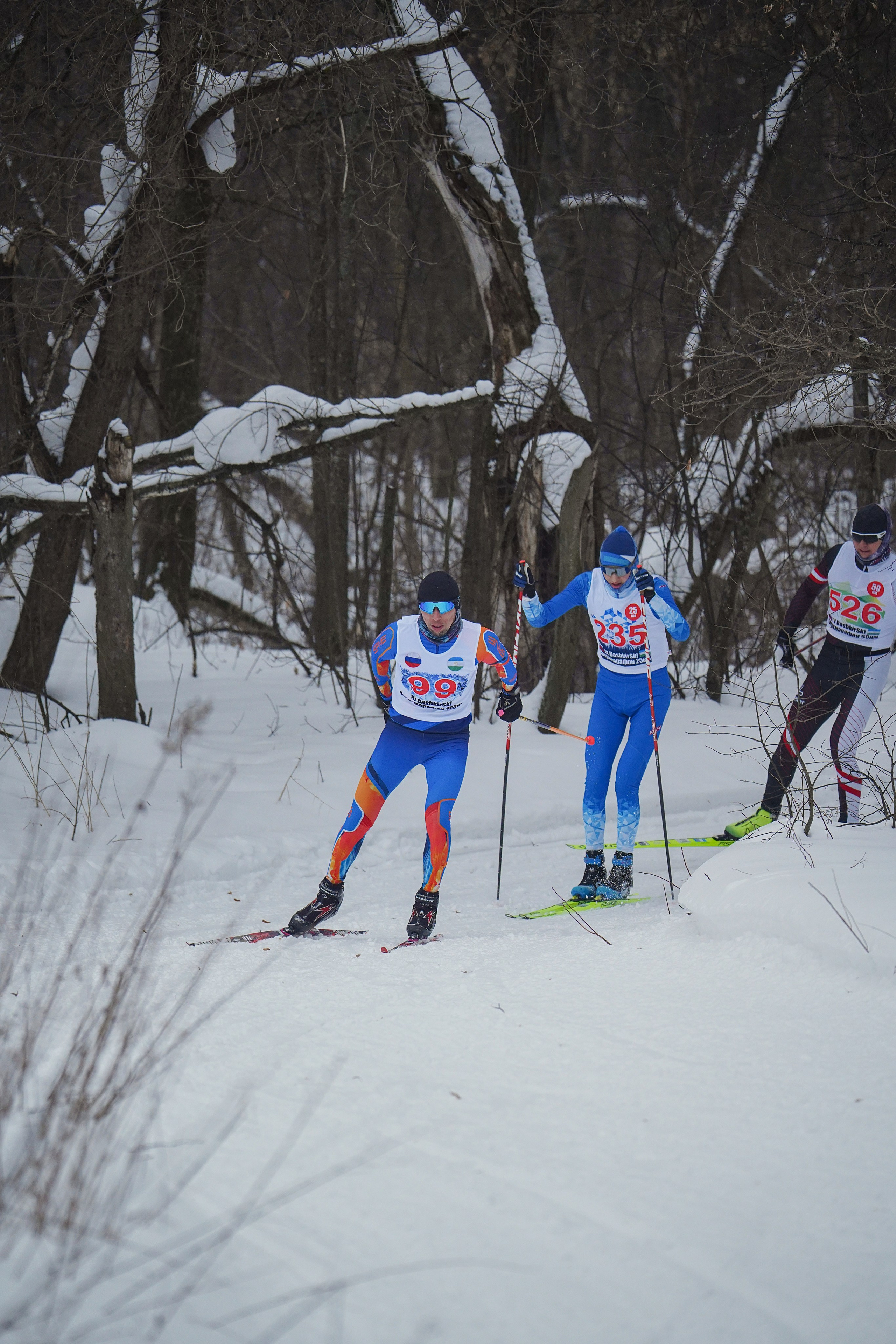 4-й BASHKIR-SKI Лыжный Сверхмарафон 100 км. Pupov.png