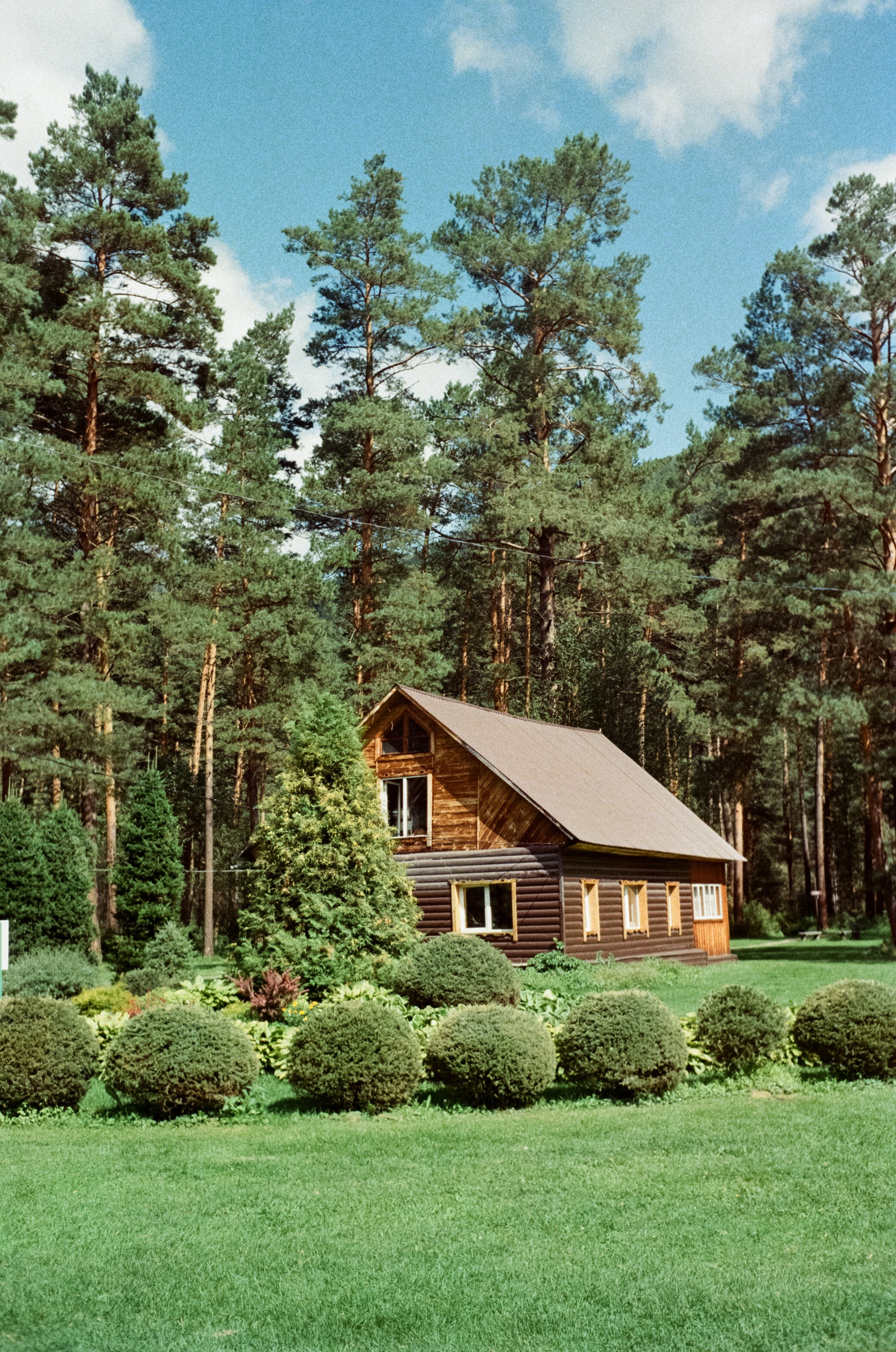 Горно-алтайский ботанический сад, база Кедровый остров / 27 августа 2024 года