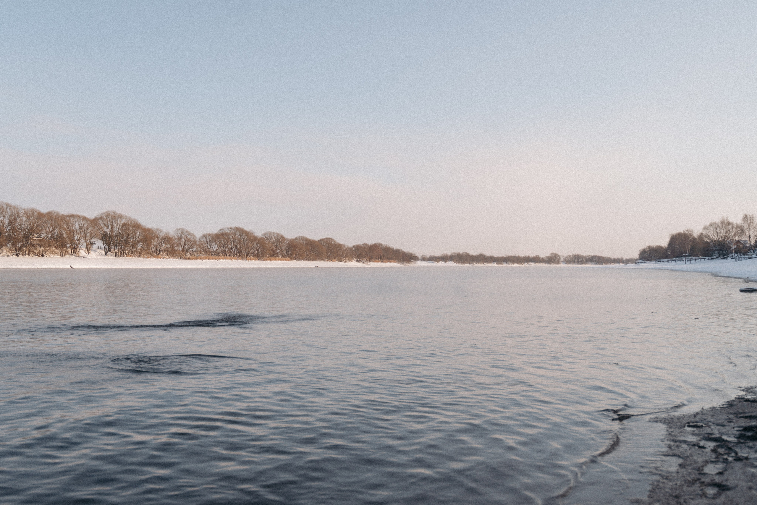 Одним зимним днем…🤍. FotoTanya. Раменское/Жуковский/Бронницы