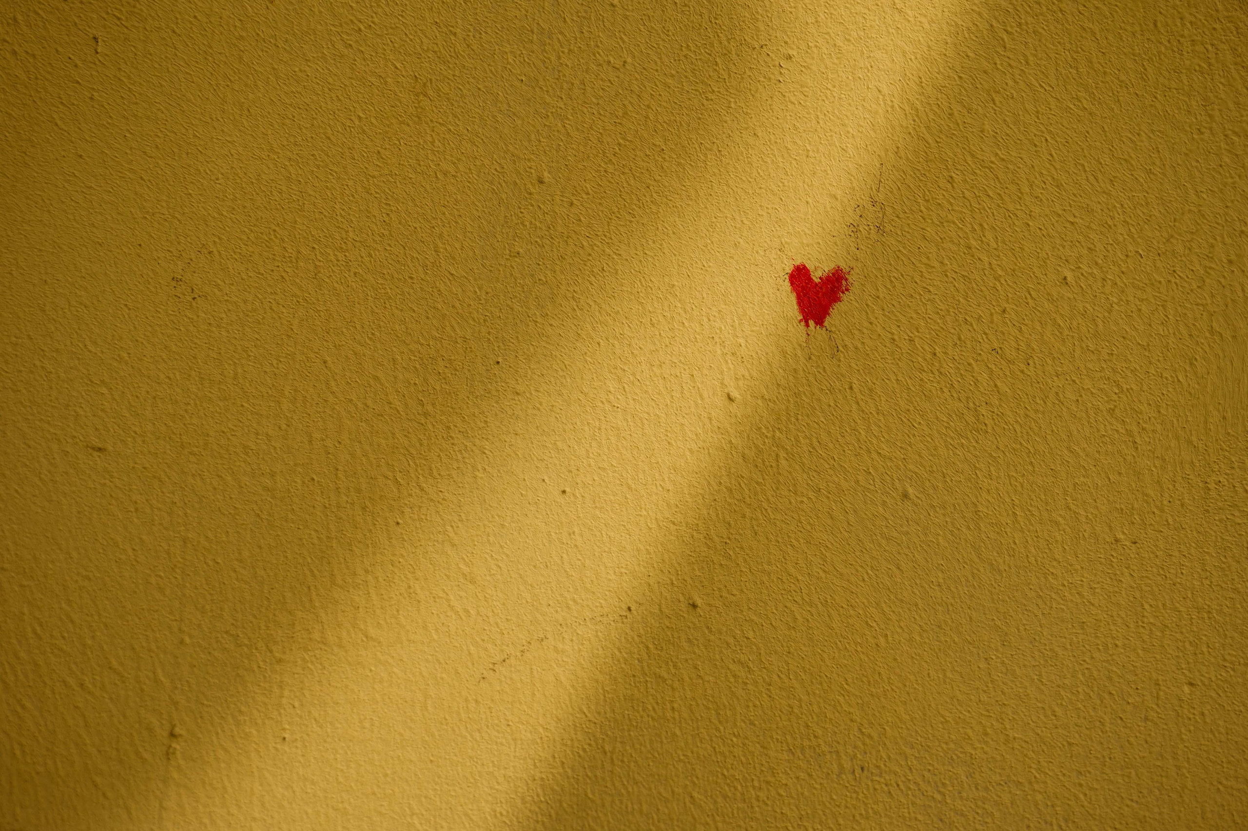 ⠀⠀Я говорю «Марко»!. Свадебный фотограф в Москве Владимир Симонов