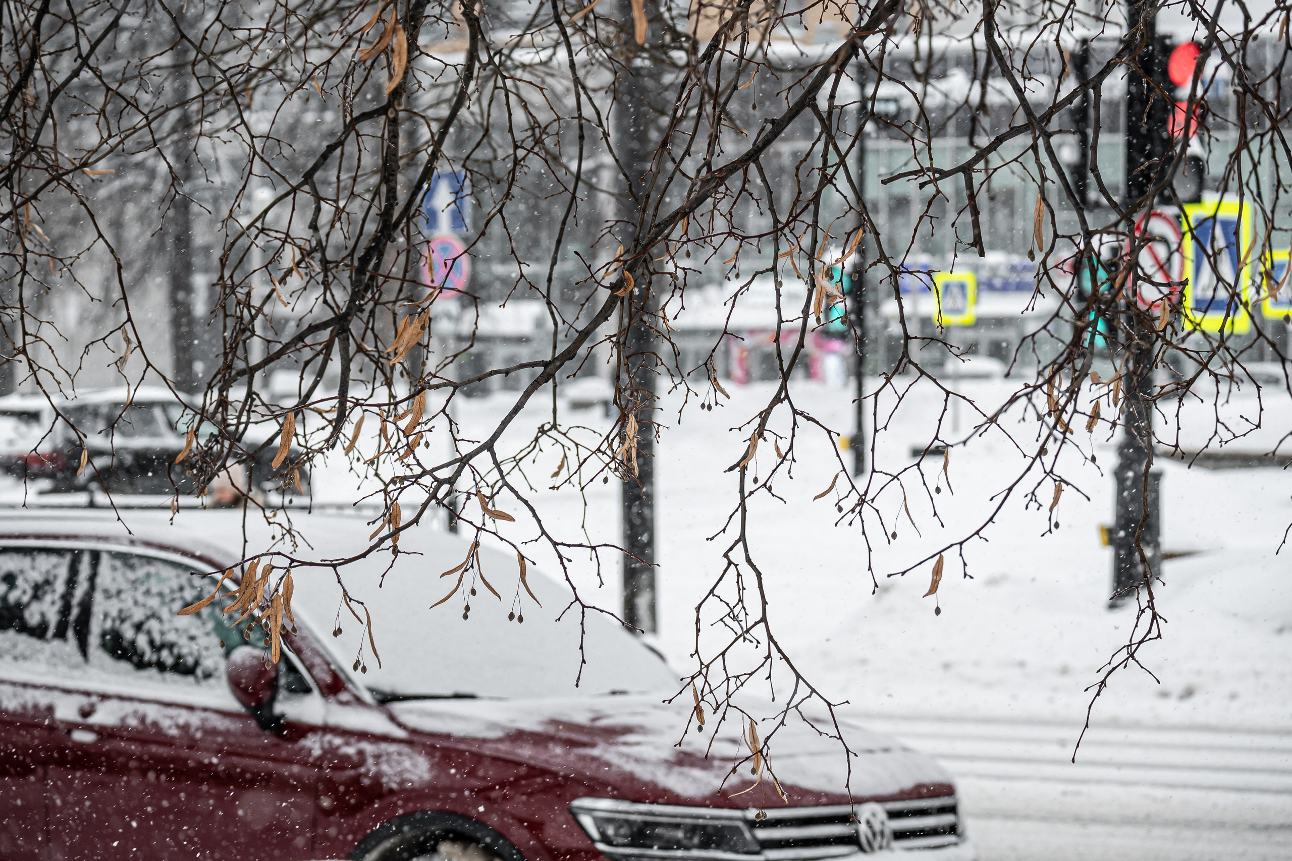 Снегопад. Репортажный фотограф