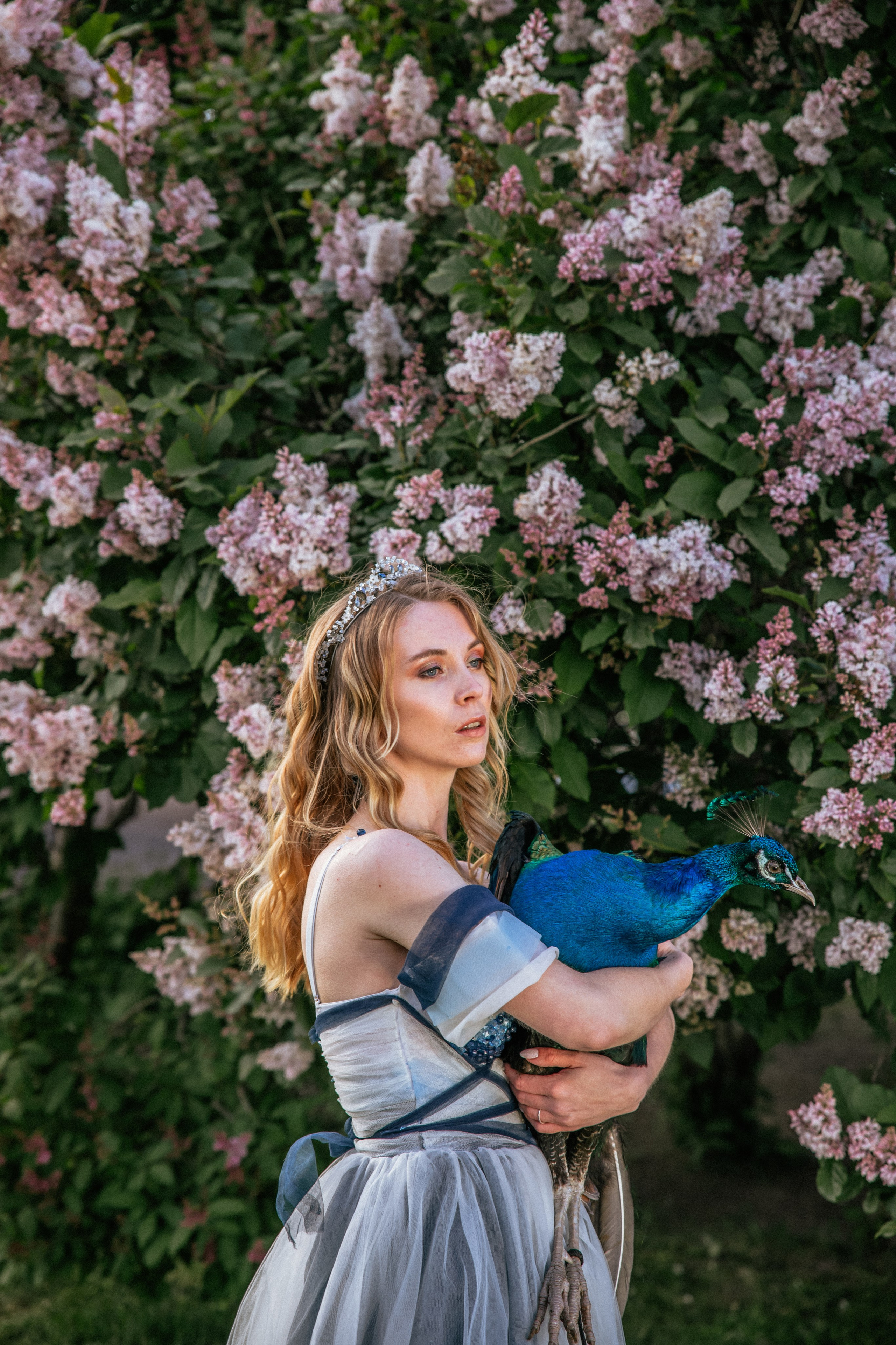 Павлин. Elena Sova — семейный и женский фотограф в Санкт-Петербурге