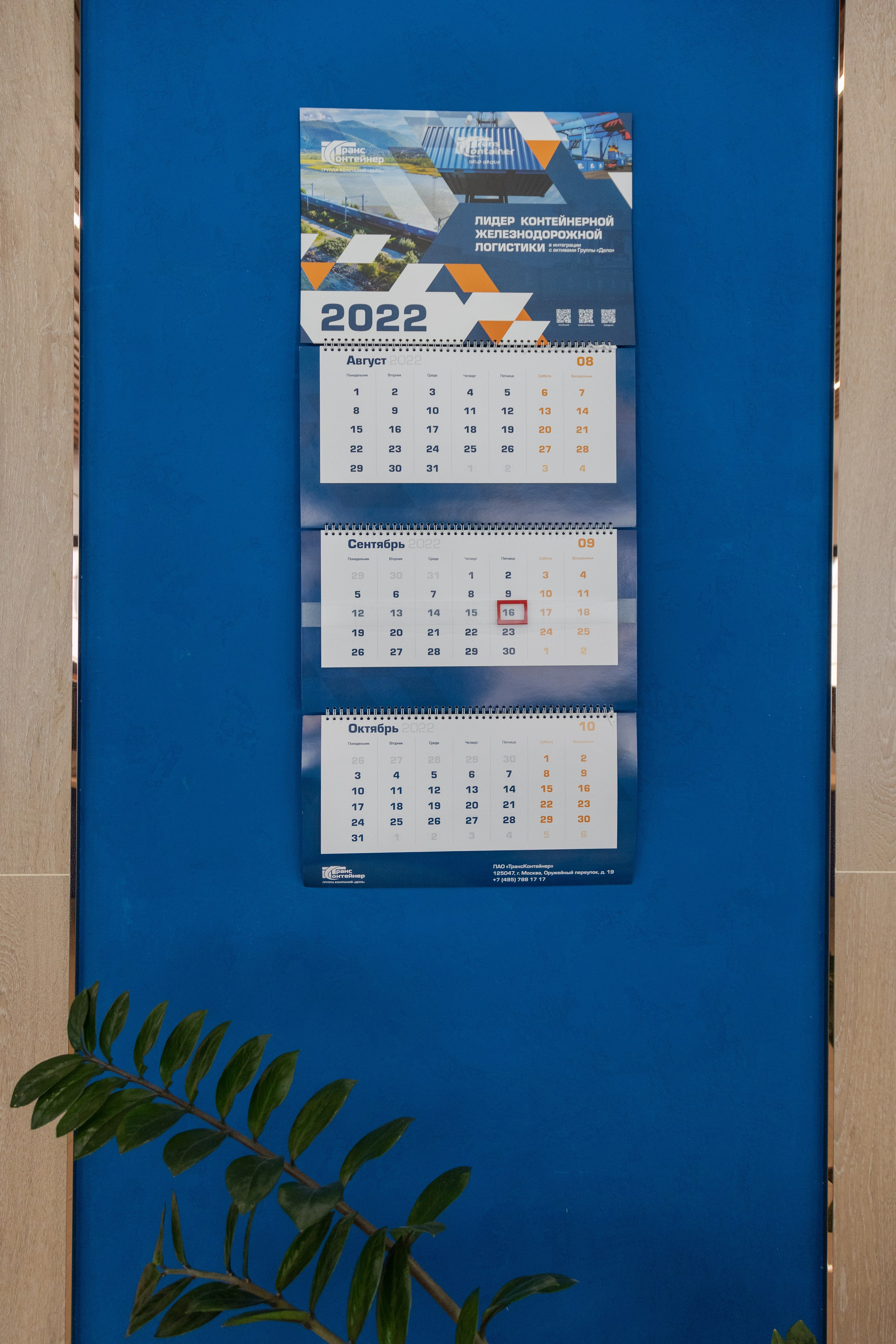 ТрансКонтейнер. Фотограф свадебный семейный в Красноярске Шукшина Наталья