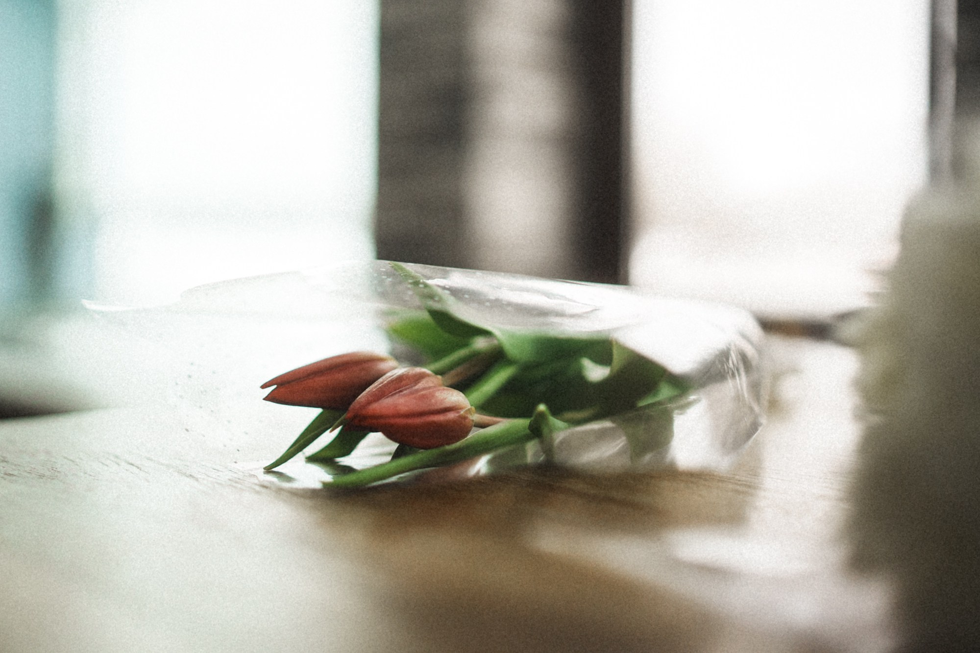 Ветераны. Карелия, Сортавала. Zekons. Фото, видео, нейросети