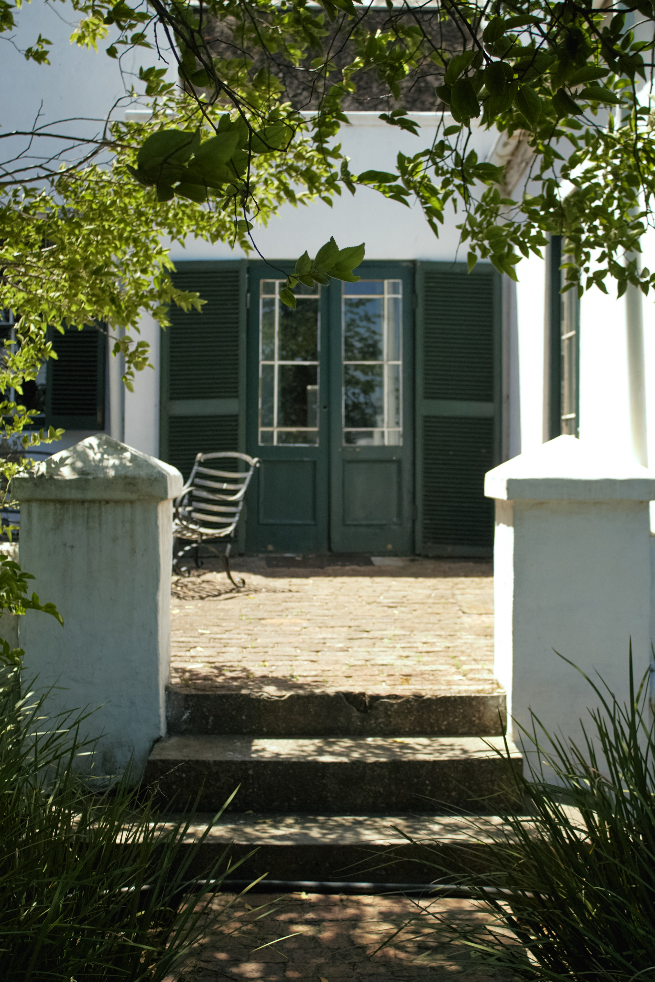 ЮАР. Профессиональный Фотограф во Владимире, в Москве и в Суздале — Полина Романычева