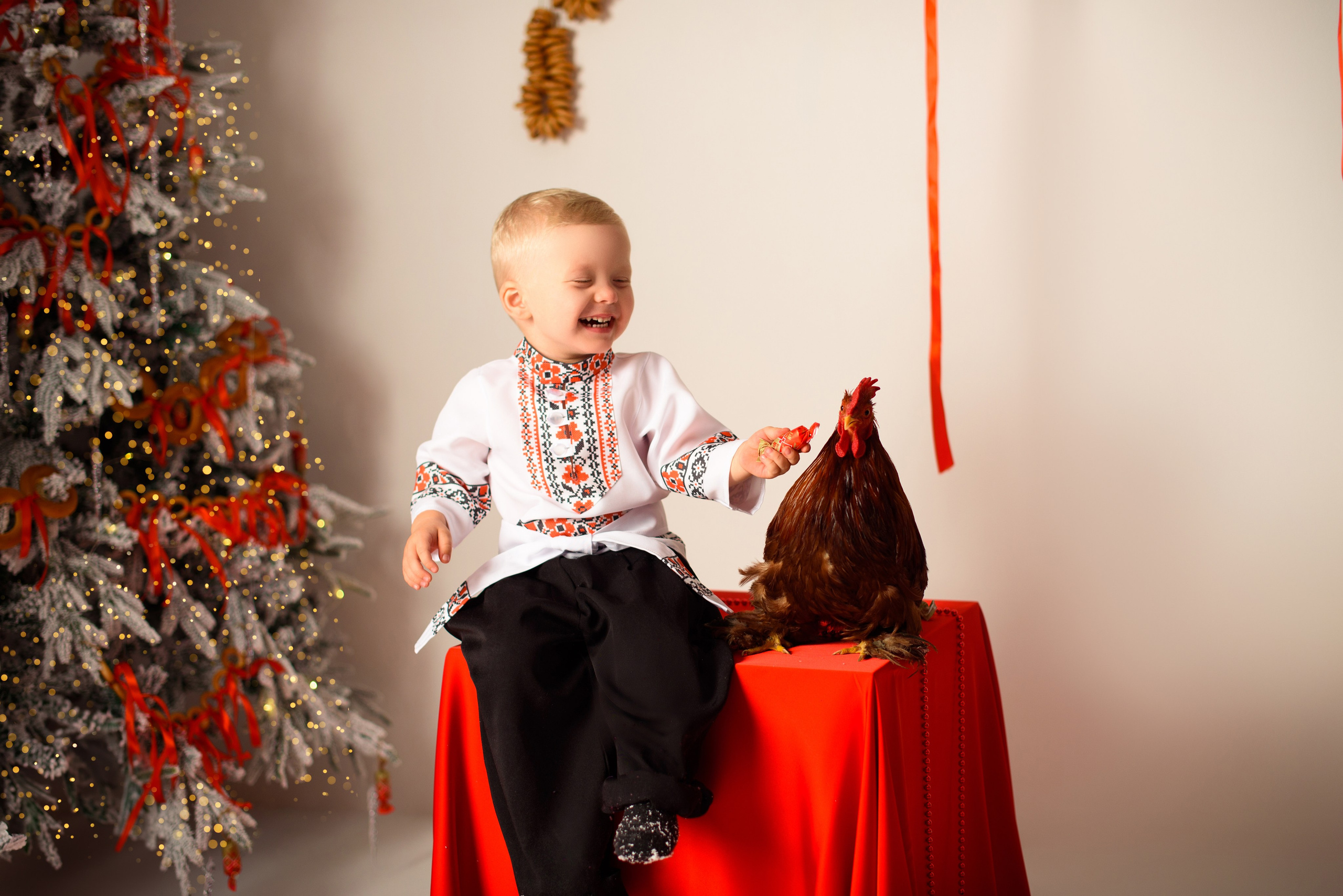 Новый год. Фотограф новорожденных и беременности Сергиев Посад Усачева Ирина