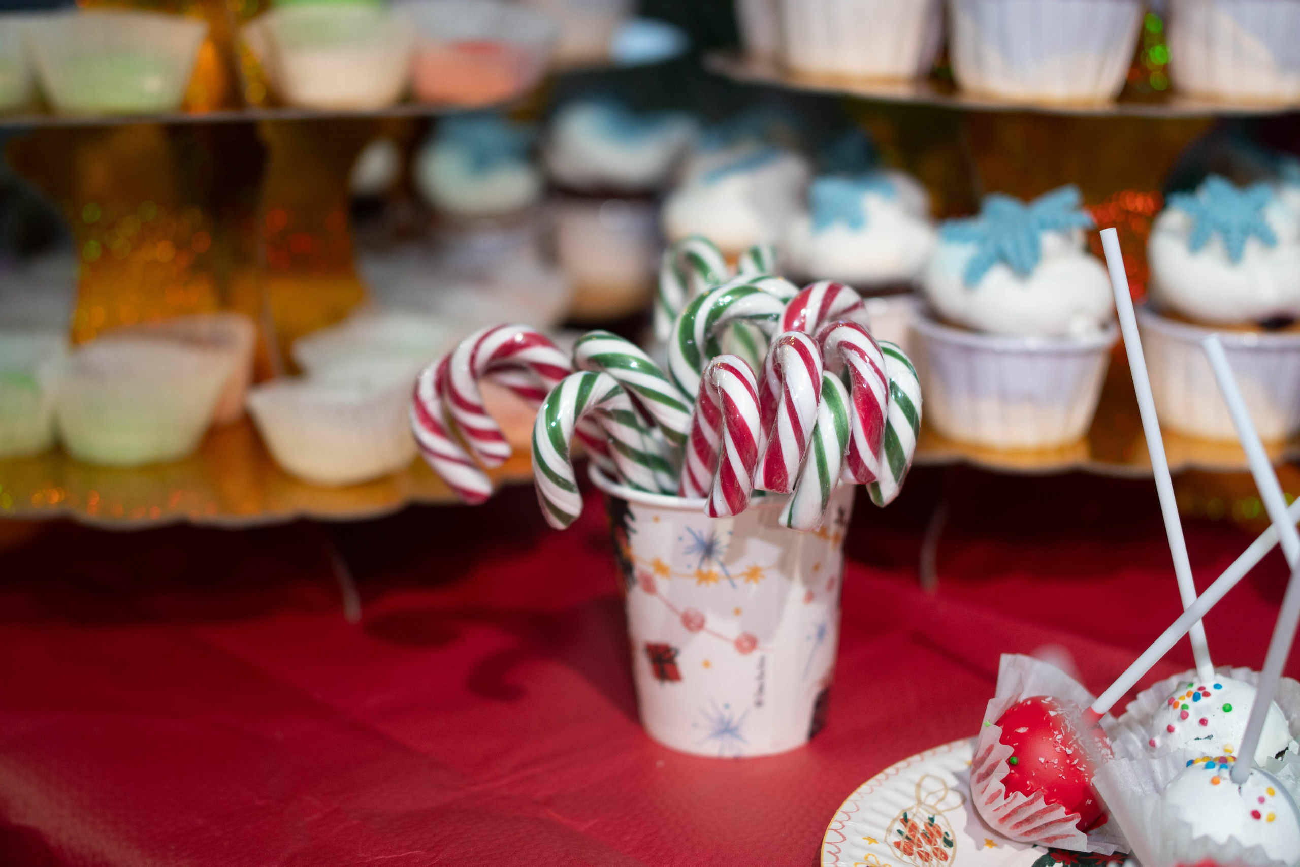 Ситидрайв. Ёлки 2024. Фотограф / видеограф в Москве и Сочи Sofia Riversong