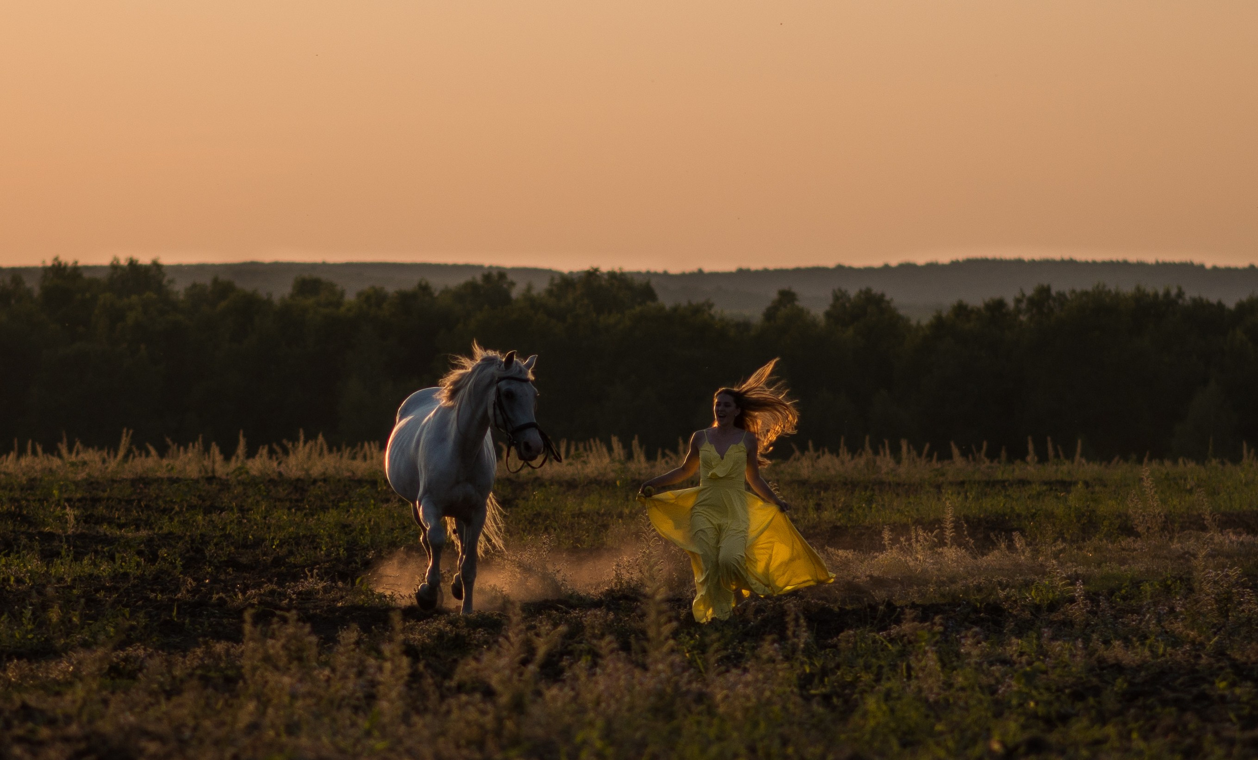 Кристина и Илья, Каспиец и Багрец. Конный фотограф в Саратове Юлия Иванова