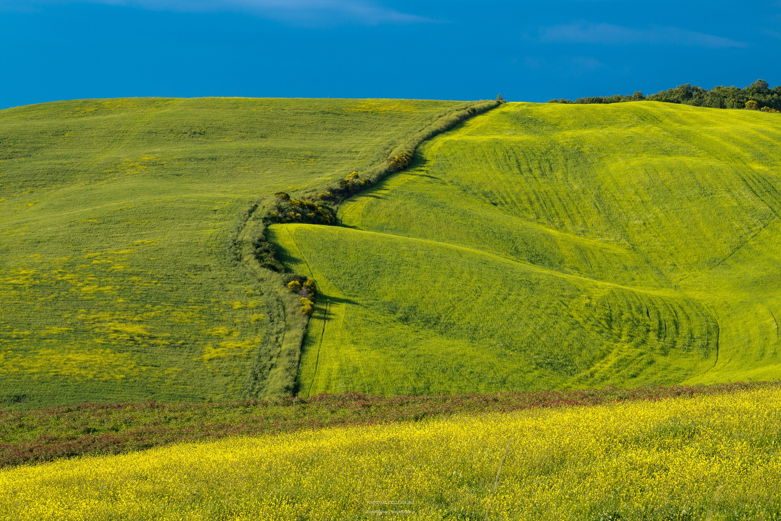 Долина Валь д’Орча-сердце Тосканы. Авторские стильные фотокартины
