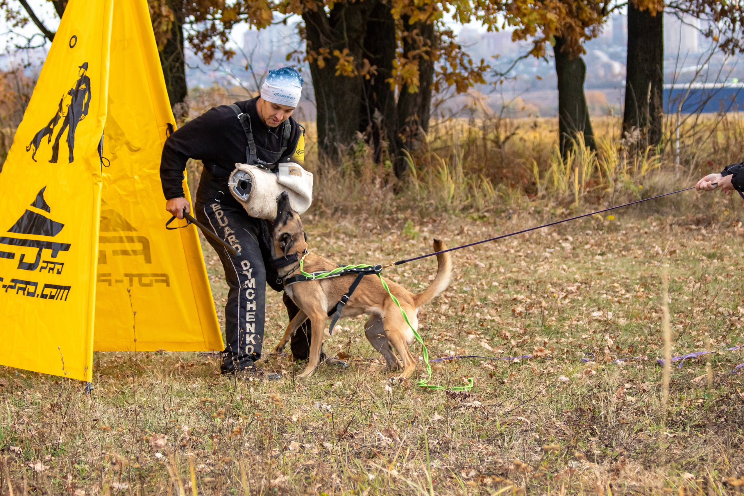 Тренинг защитного раздела. Фотограф анималист — Тула, Москва