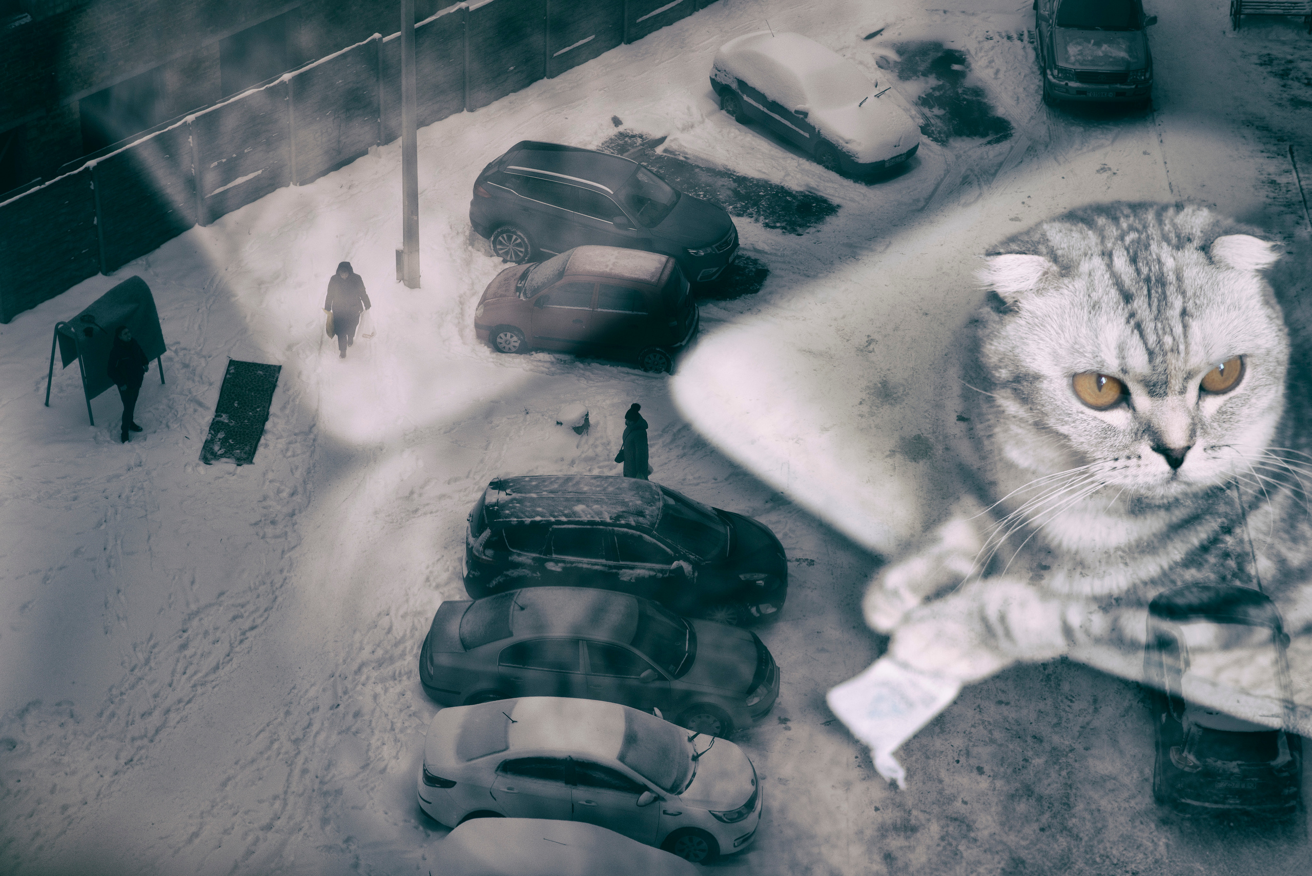 Фотокартины в Гомеле, картины в Гомеле, сюрреализм, минимализм