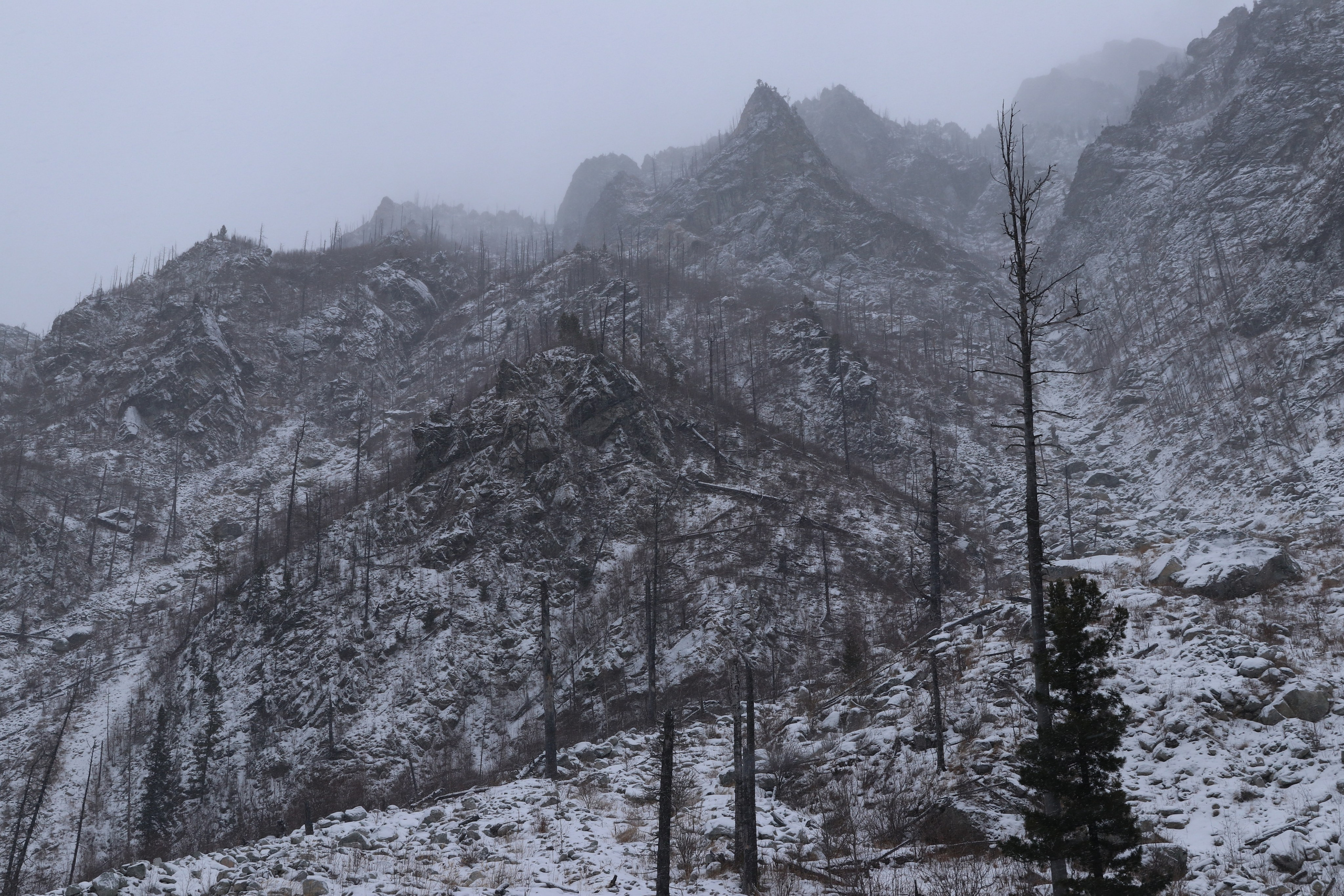 Аршан. Январь 2024. Путешественник-фотограф из Санкт-Петербурга Татьяна Свистулина