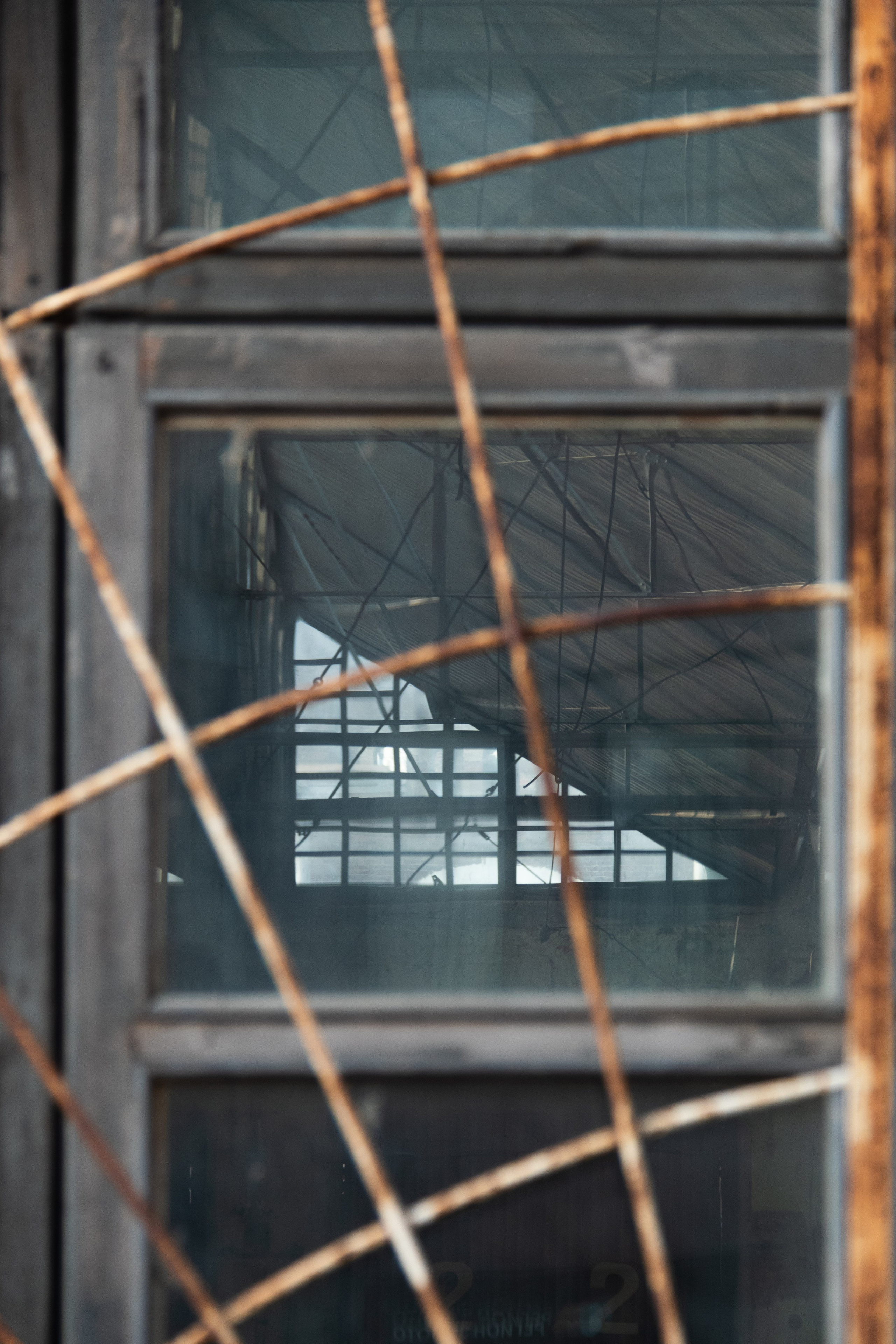 SNYT. An Alternative View of St. Petersburg’s Architecture. 2025. Janie valde |photographer & visual artist