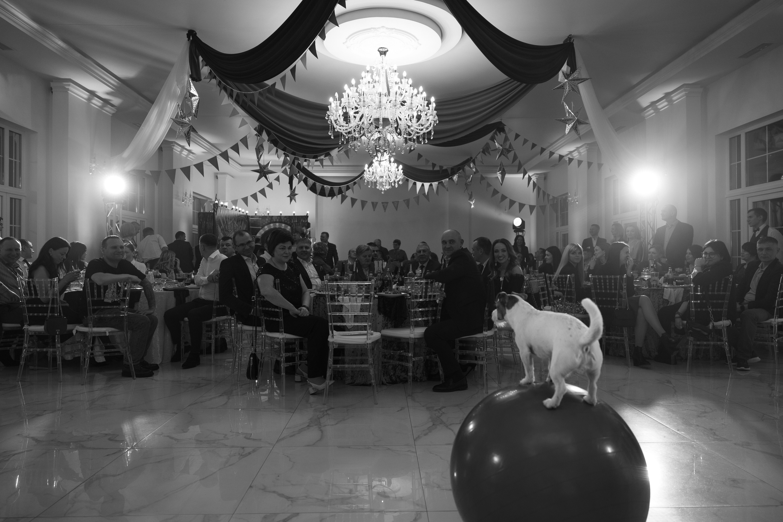 Корпоратив Цирк. Свадебный фотограф Минск РБ