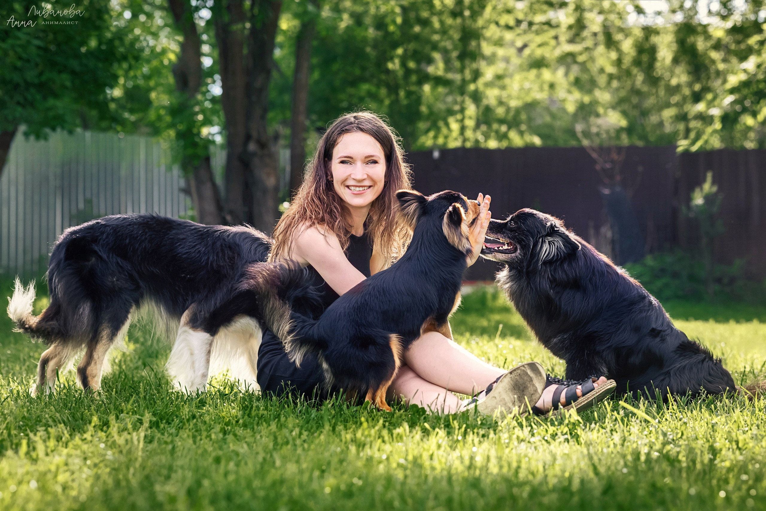 Рита и Ко. Фотограф анималист Аня Ливанова | Рыбинск