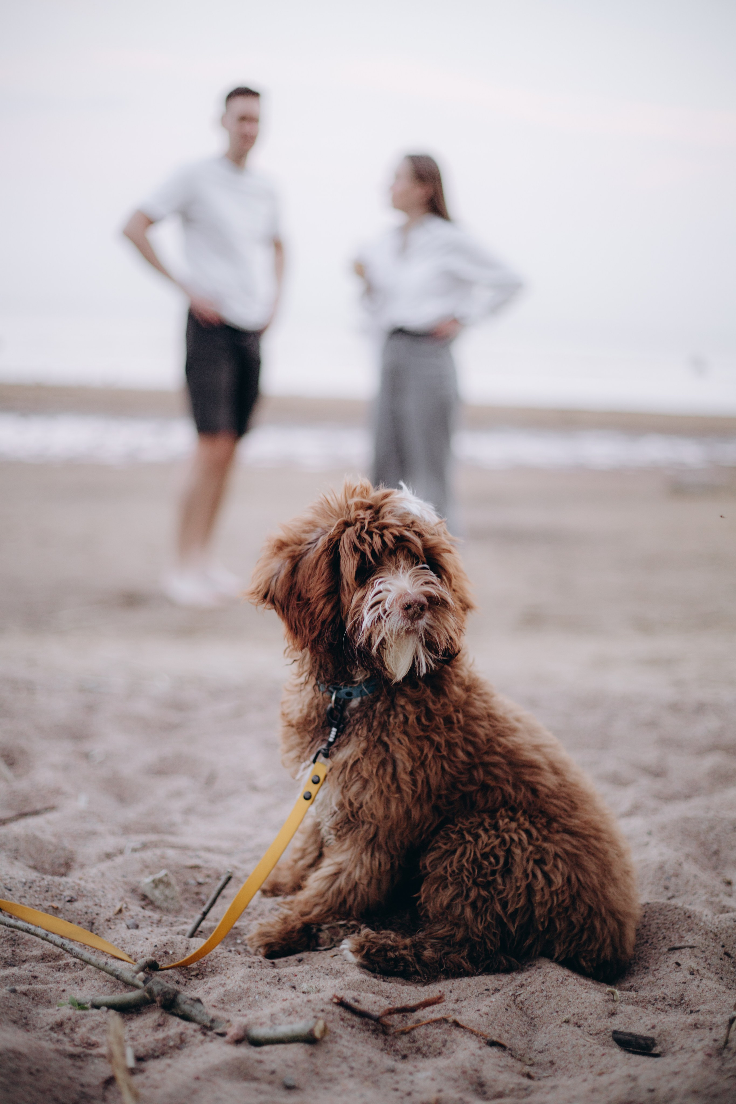 Анастасия и Тео. Фотограф Юлия Попова — JP Creative — хранитель семейной хроники в Петербурге
