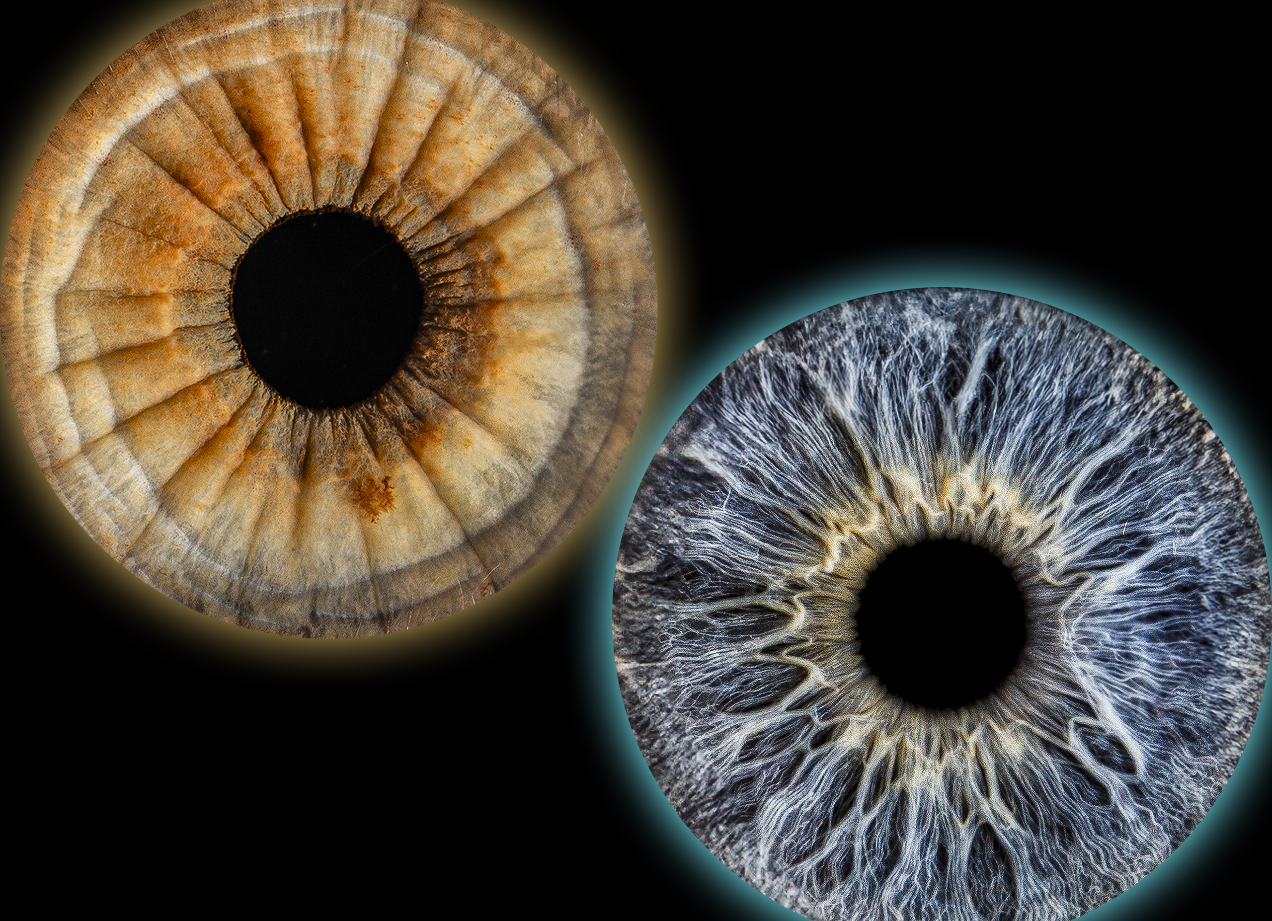 Эффекты. Макро Фото радужки глаза в Зеленоградске