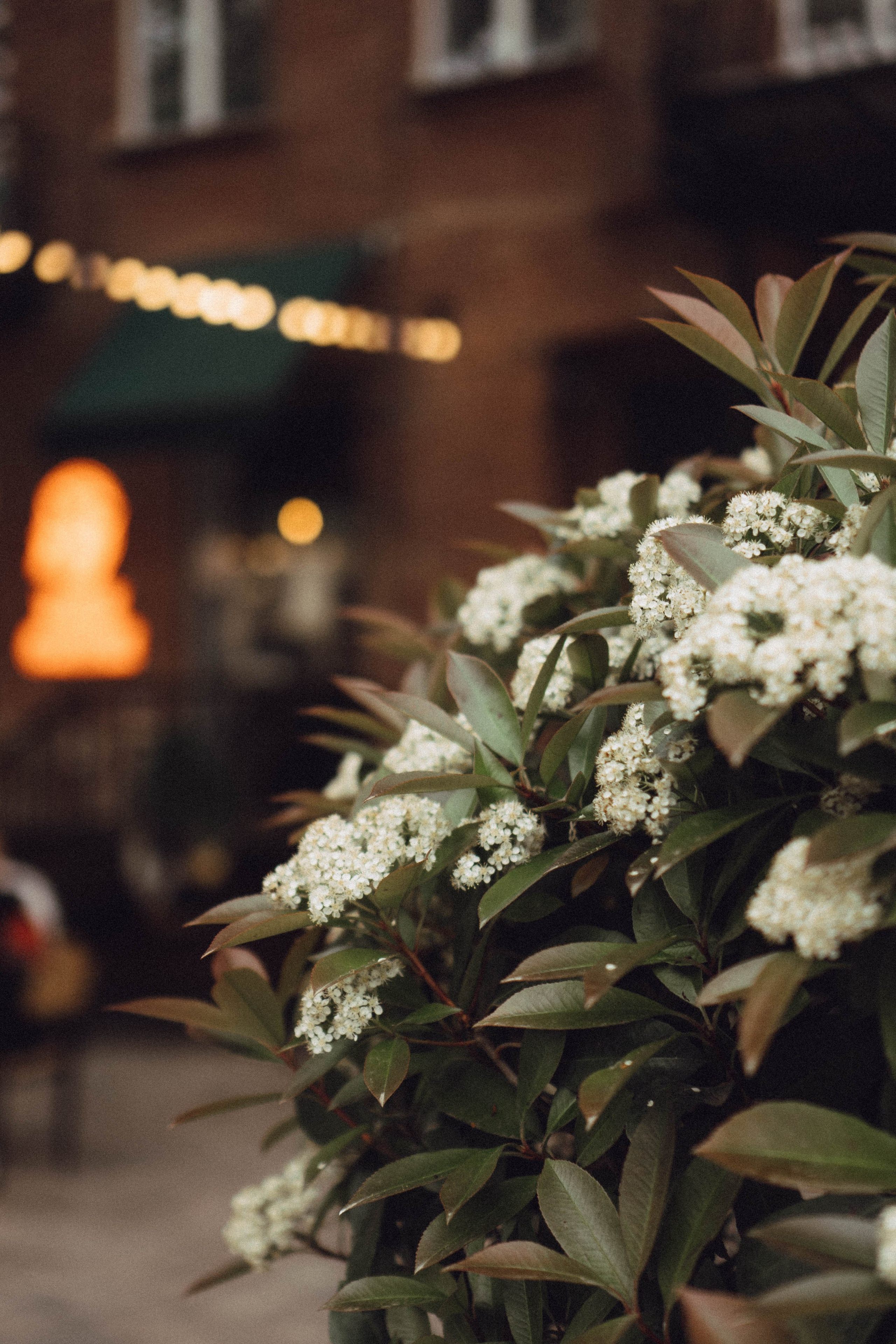 Кавказ. Профессиональный фотограф, Санкт-Петербург — Виктория Богомолова