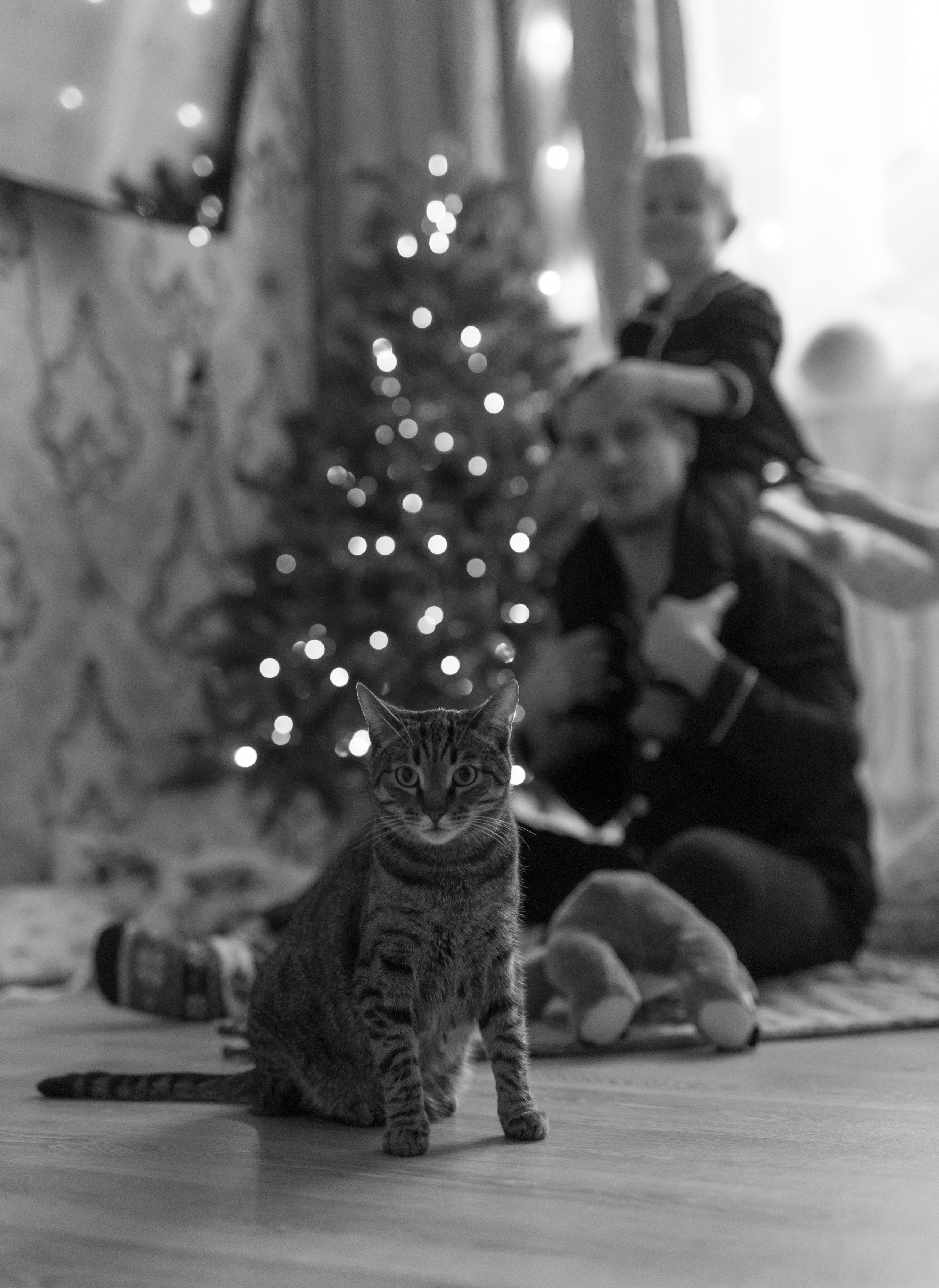 Дима, Ира, Лева + 1. Фотограф в Нижнем Новгороде, Дзержинске Олеся Хозяева