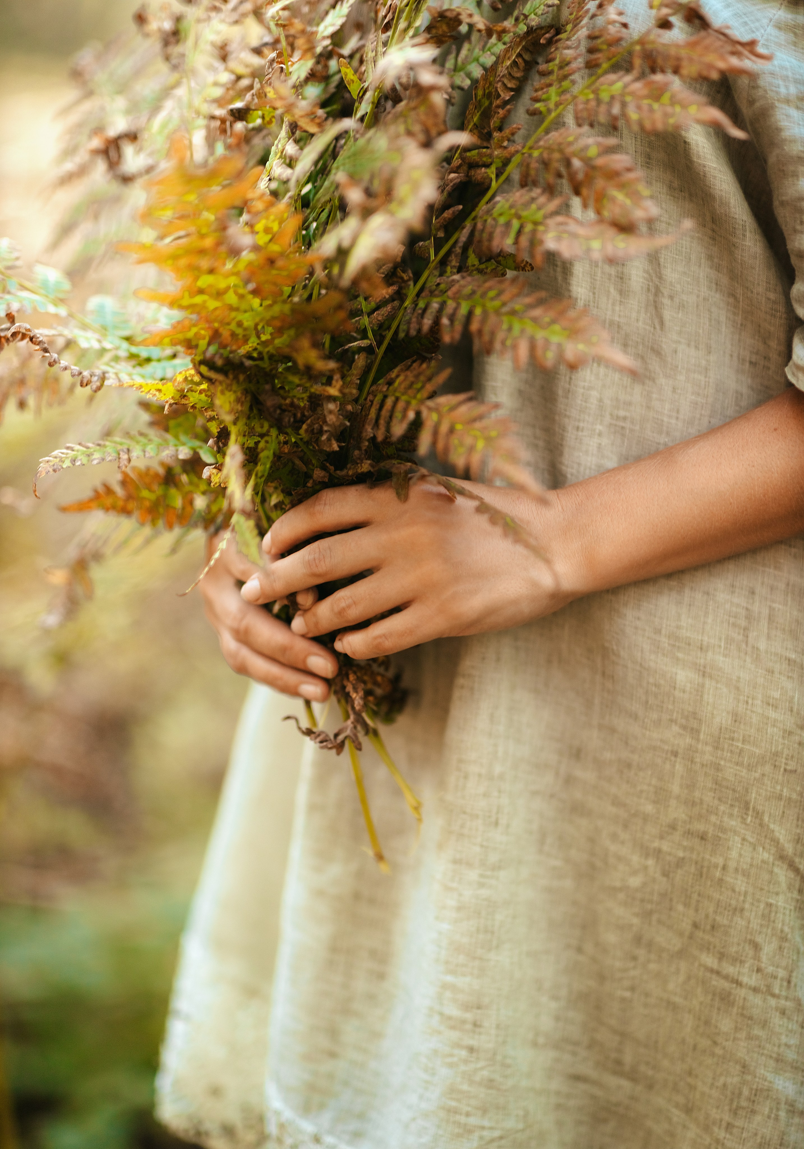 В папоротниках