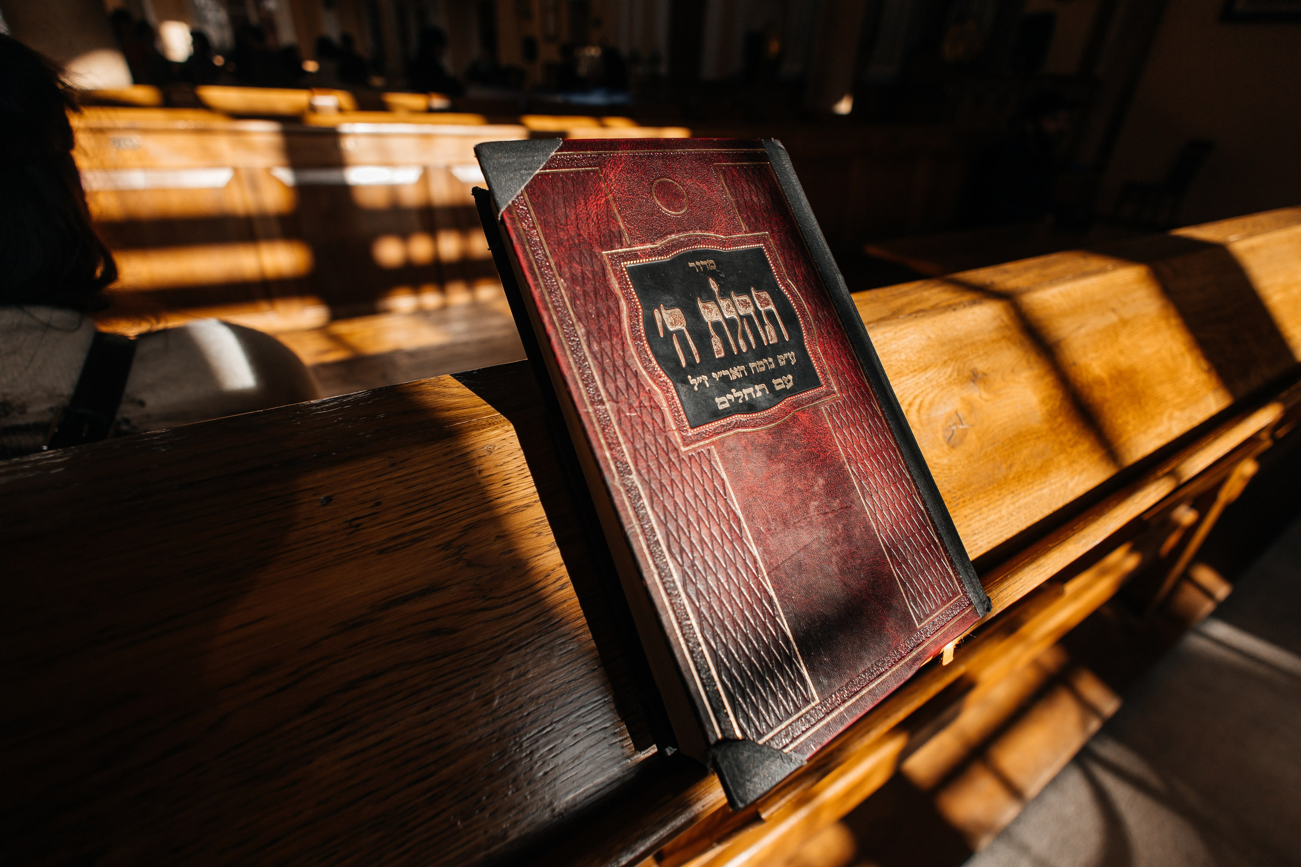 Синагога. Фотограф в Санкт-Петербурге Виктория Безверхая