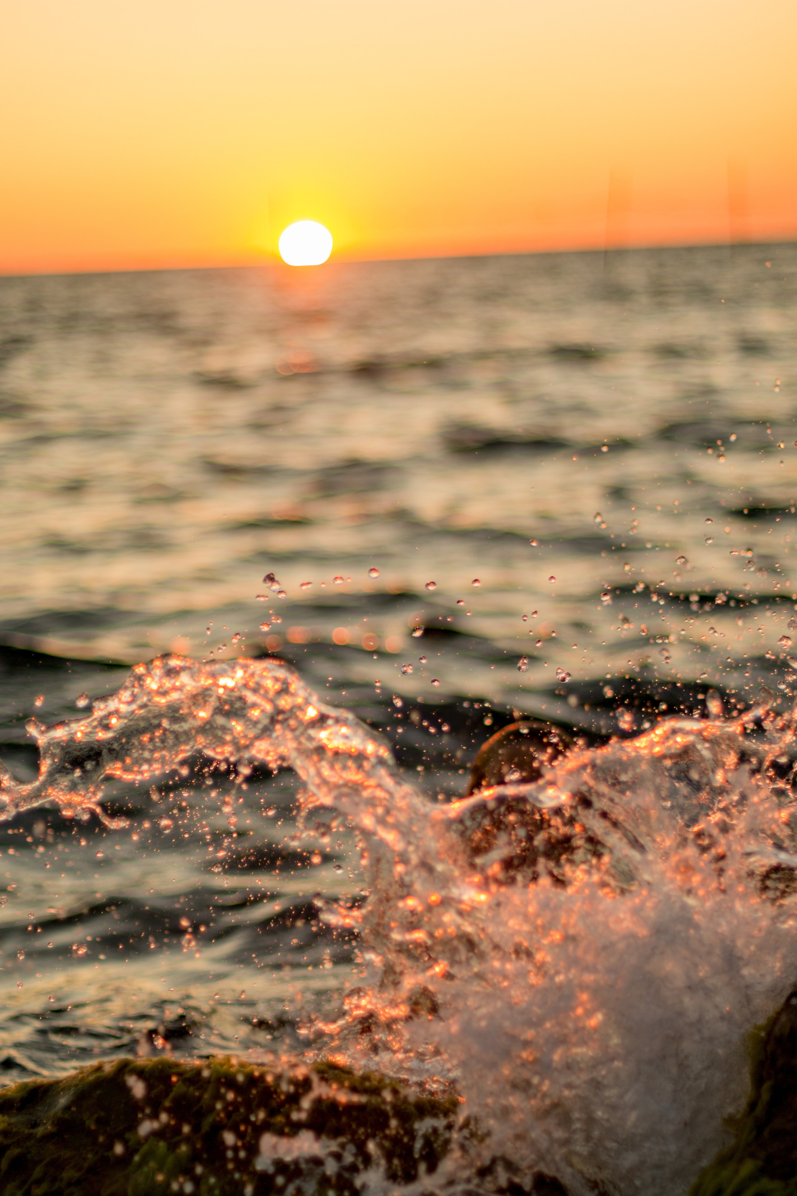 Яна. Фотограф в Сочи