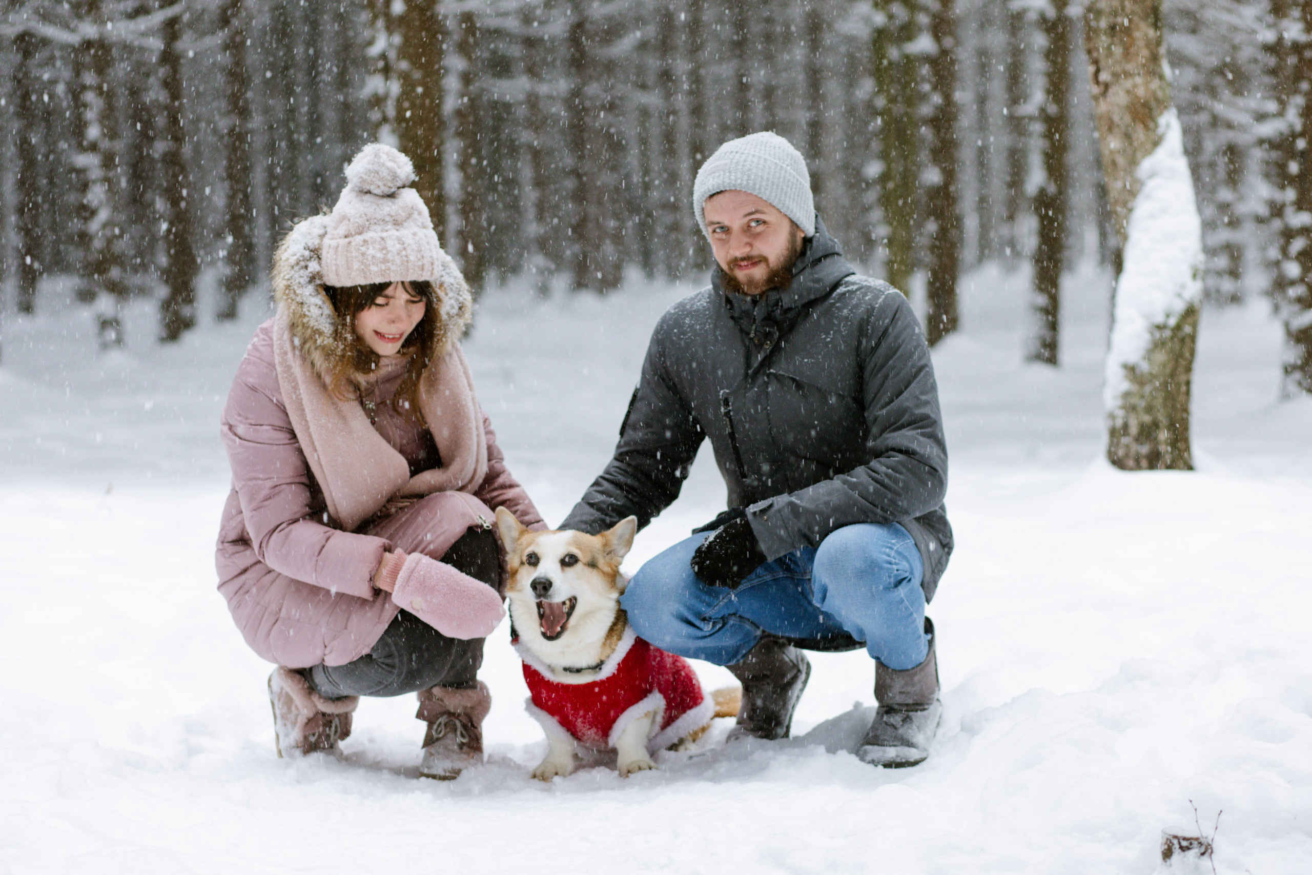 Маргарита и Александр. Фотограф Виктория Бурова