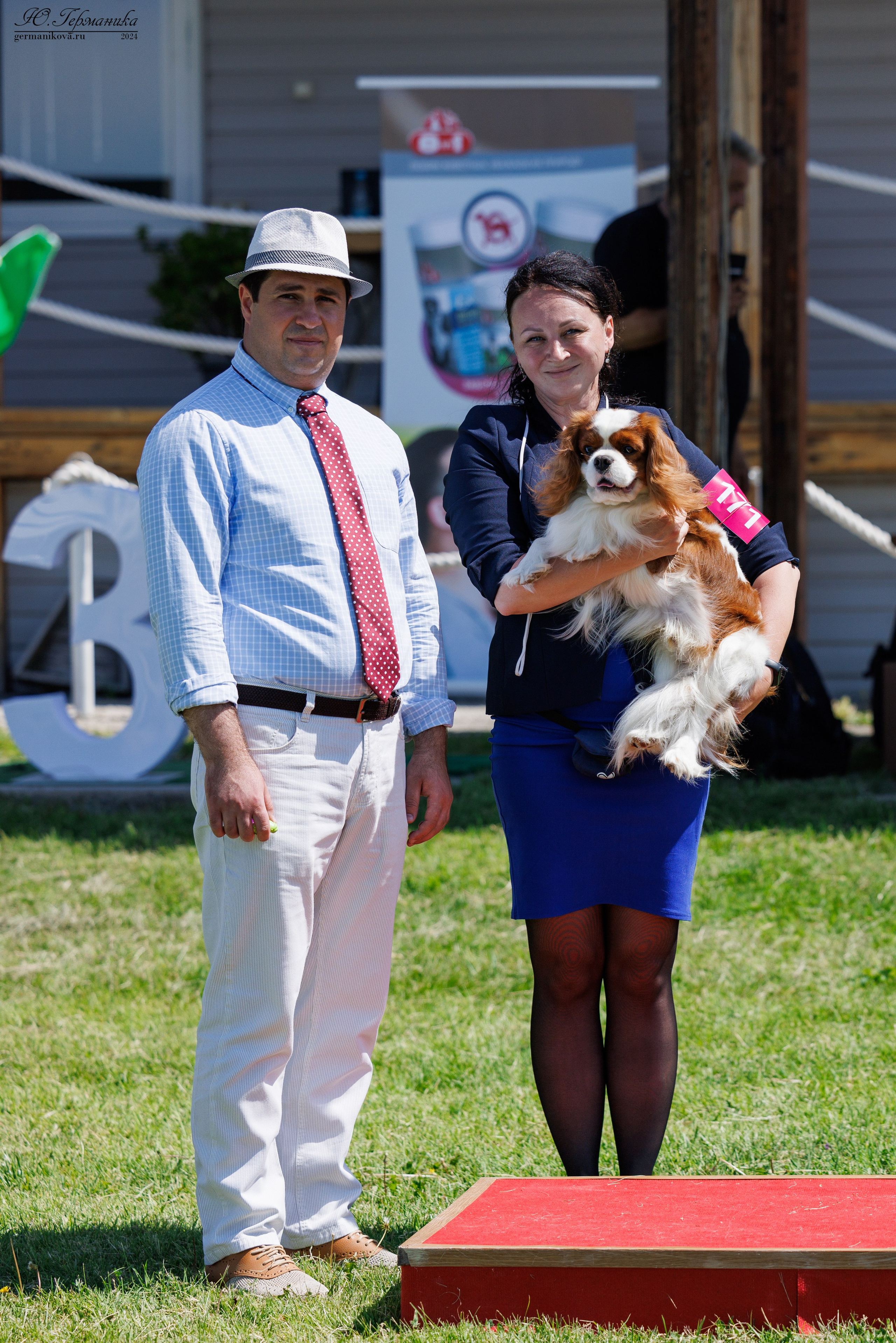 Ереван 3-5.06.2024. Фотограф-анималист Юлия Германика