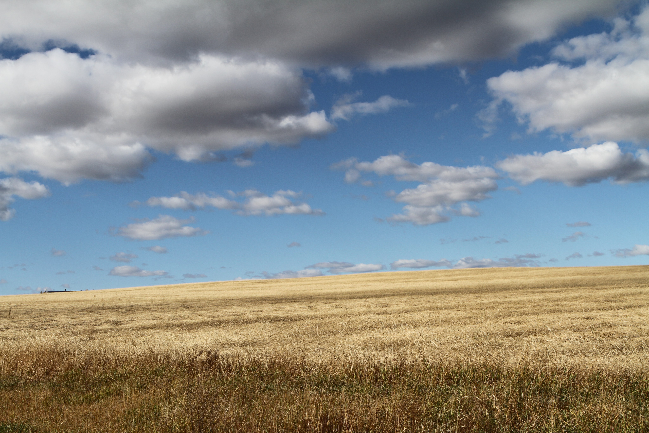Фото Природы Забайкалья. Студия Максима Белослюдцева