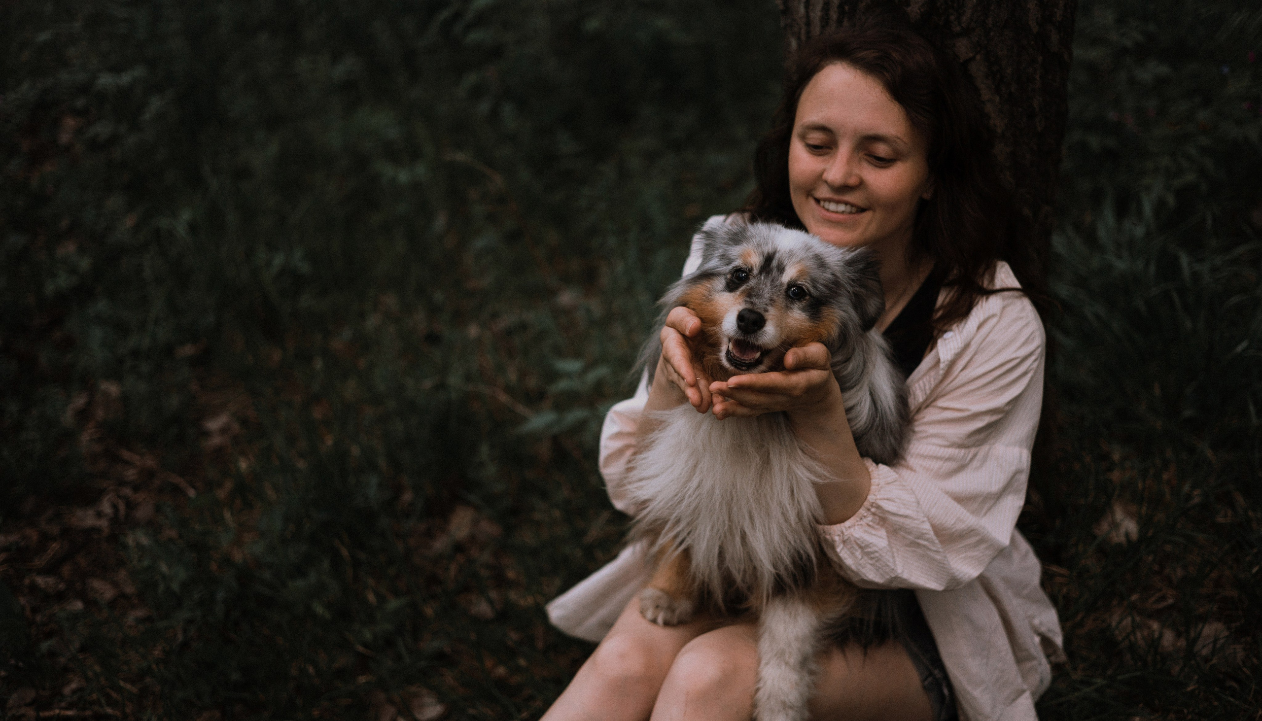 Настя, Шуня, Милка и Тигуан. Фотограф-анималист Богданова Полина